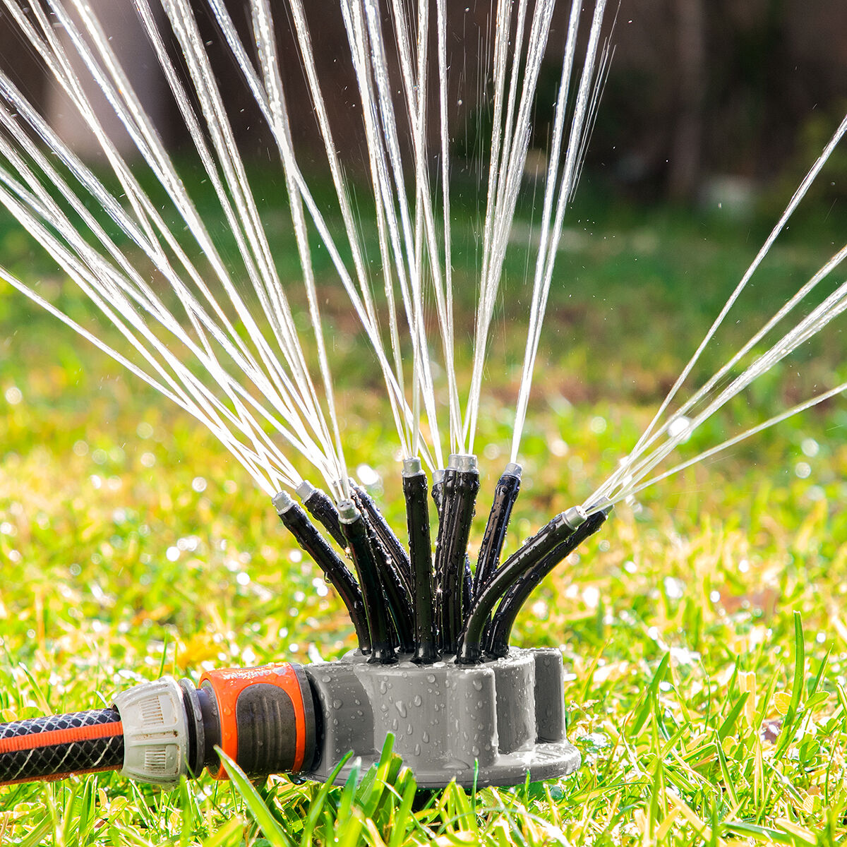 Rasensprenger im grünen Gras versprüht Wasser. Ein Schlauch ist mit dem Sprenger verbunden.