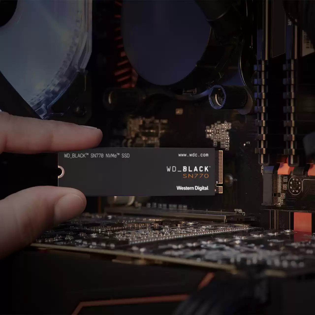 Mano che tiene un SSD WD_BLACK SN770 NVMe sopra una scheda madre del computer.