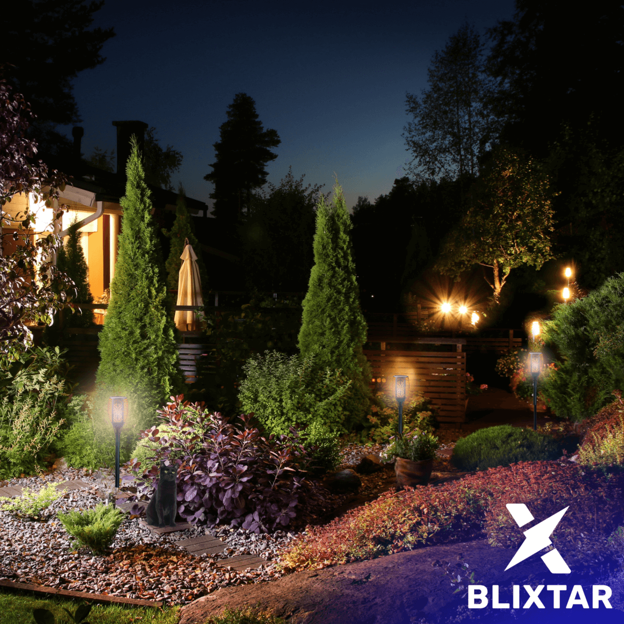 Ogród w nocy ze światłami, krzewami i czarnym kotem siedzącym na ziemi.