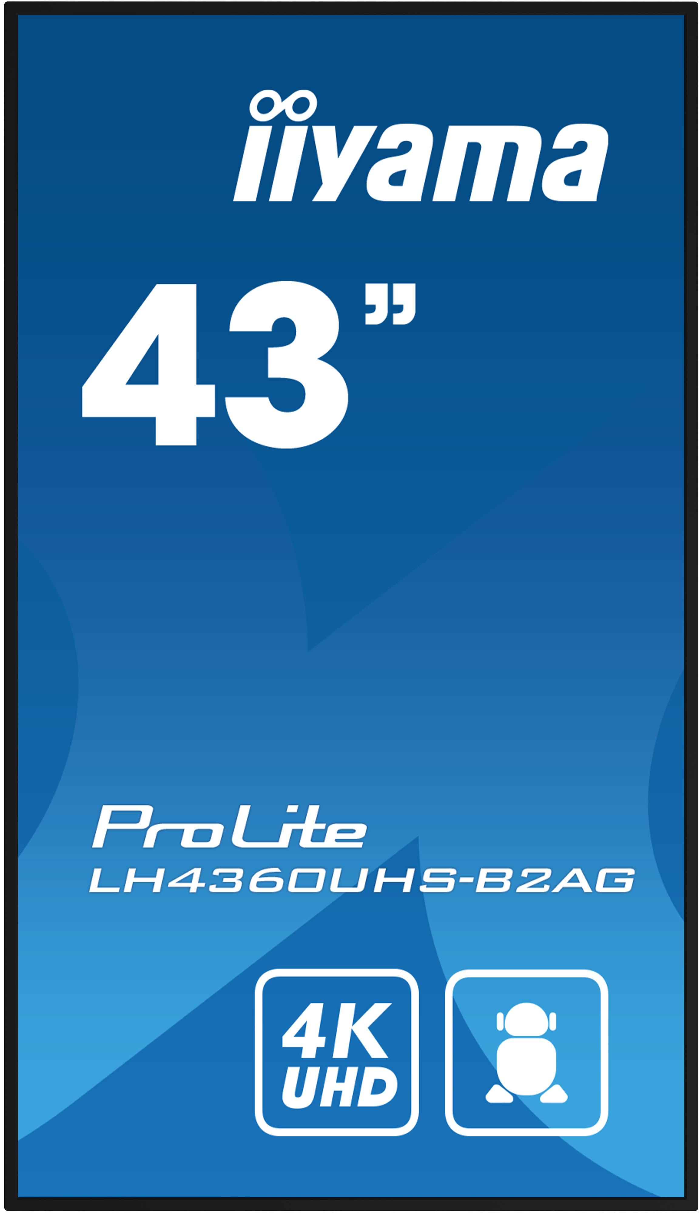 A 43 inch iiyama ProLite screen with 4K UHD and another icon.