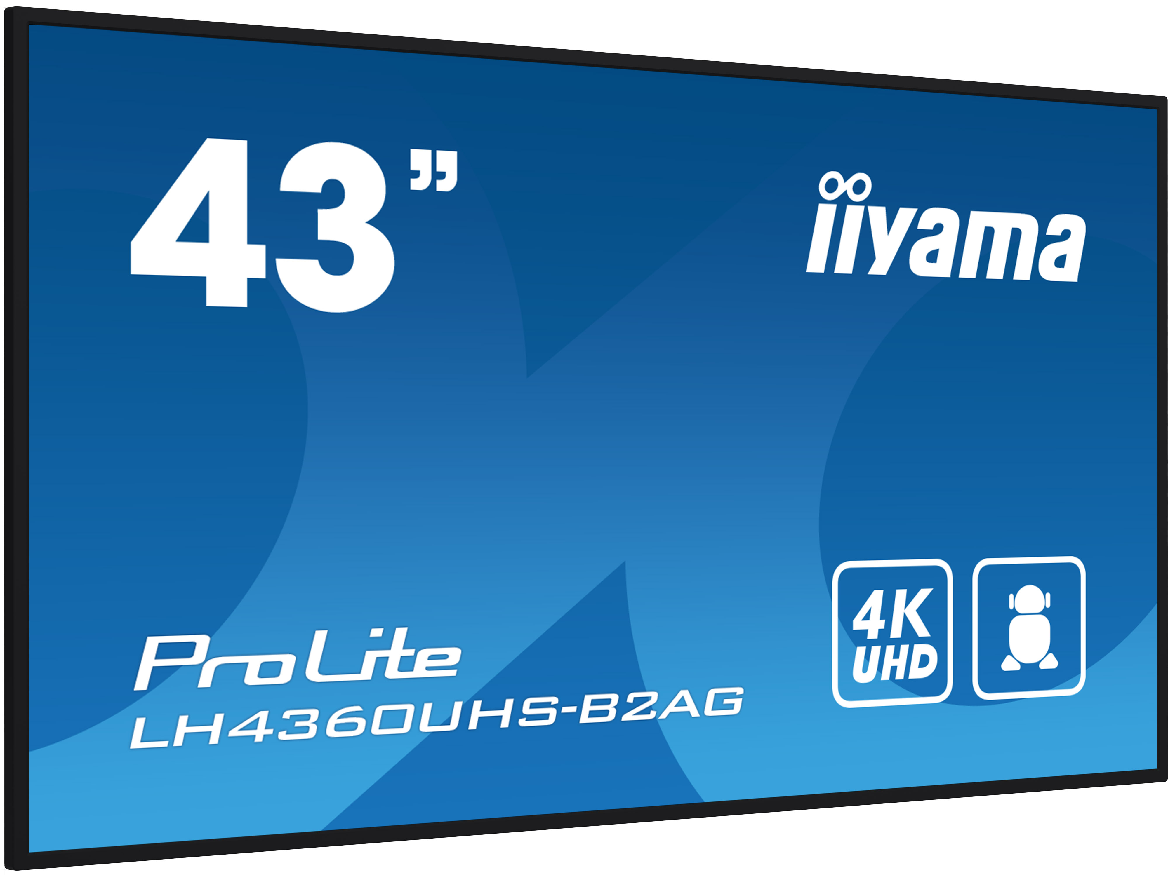 43-inch iiyama ProLite monitor. The screen displays a blue background. 4K UHD and a speaker icon are visible.