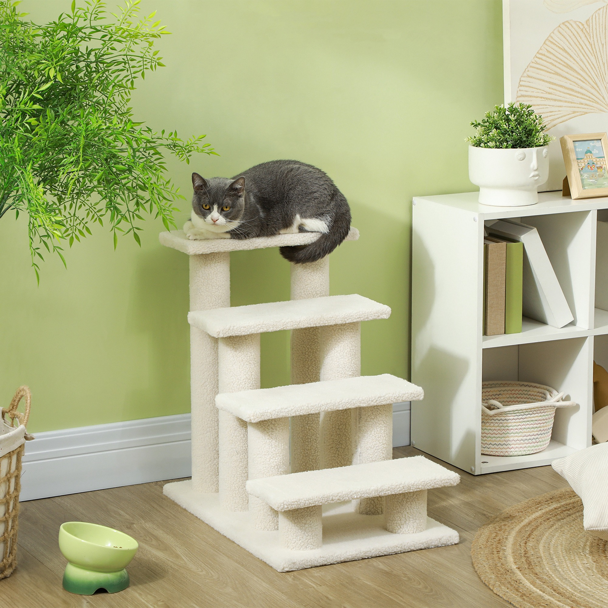 Katze auf einem Katzenbaum. Grüne Wand und weißes Regal im Hintergrund mit Pflanzen und Dekorationen.