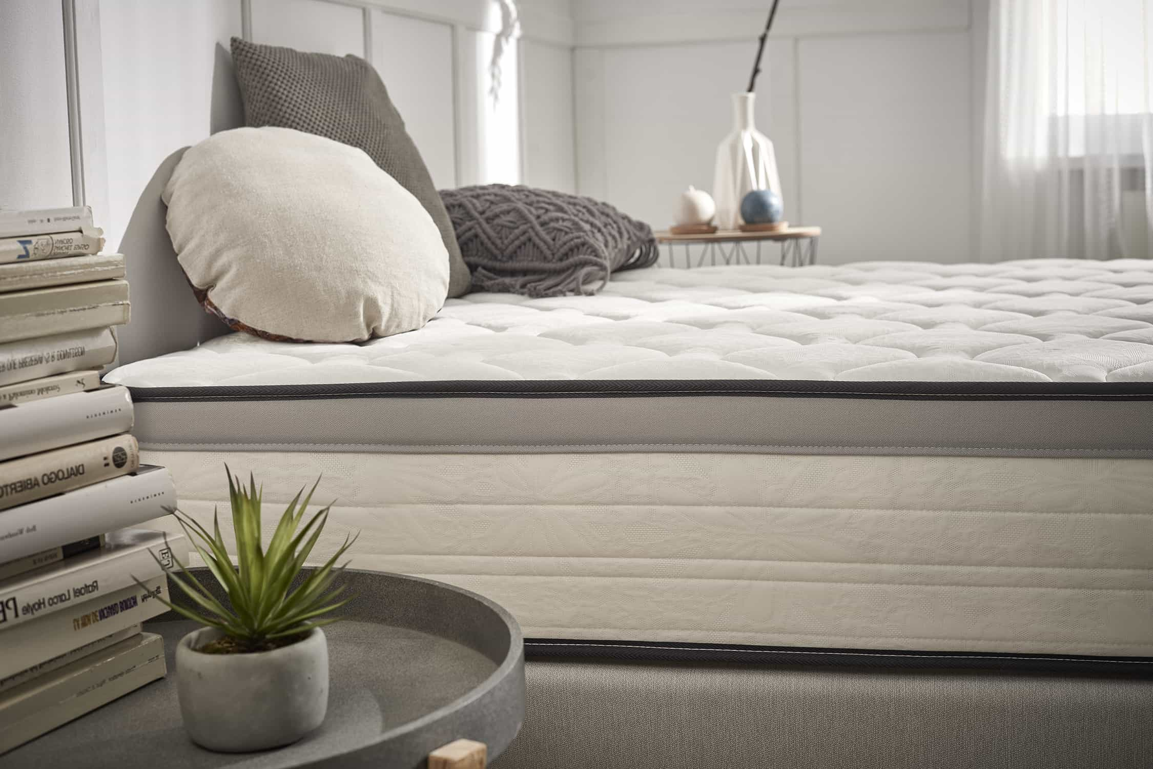 Cama con almohadas, planta y libros. El colchón tiene un borde gris.