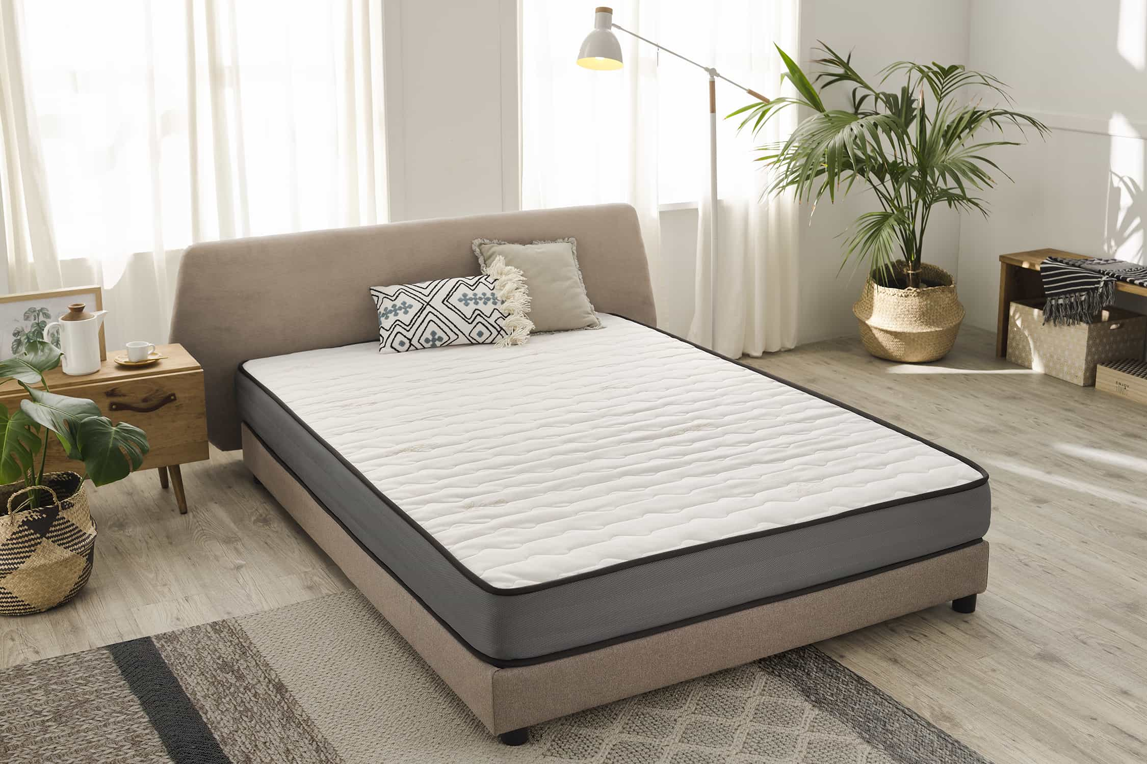 Cama beige con almohadas, lámpara y plantas. La cama está sobre una alfombra frente a una ventana.