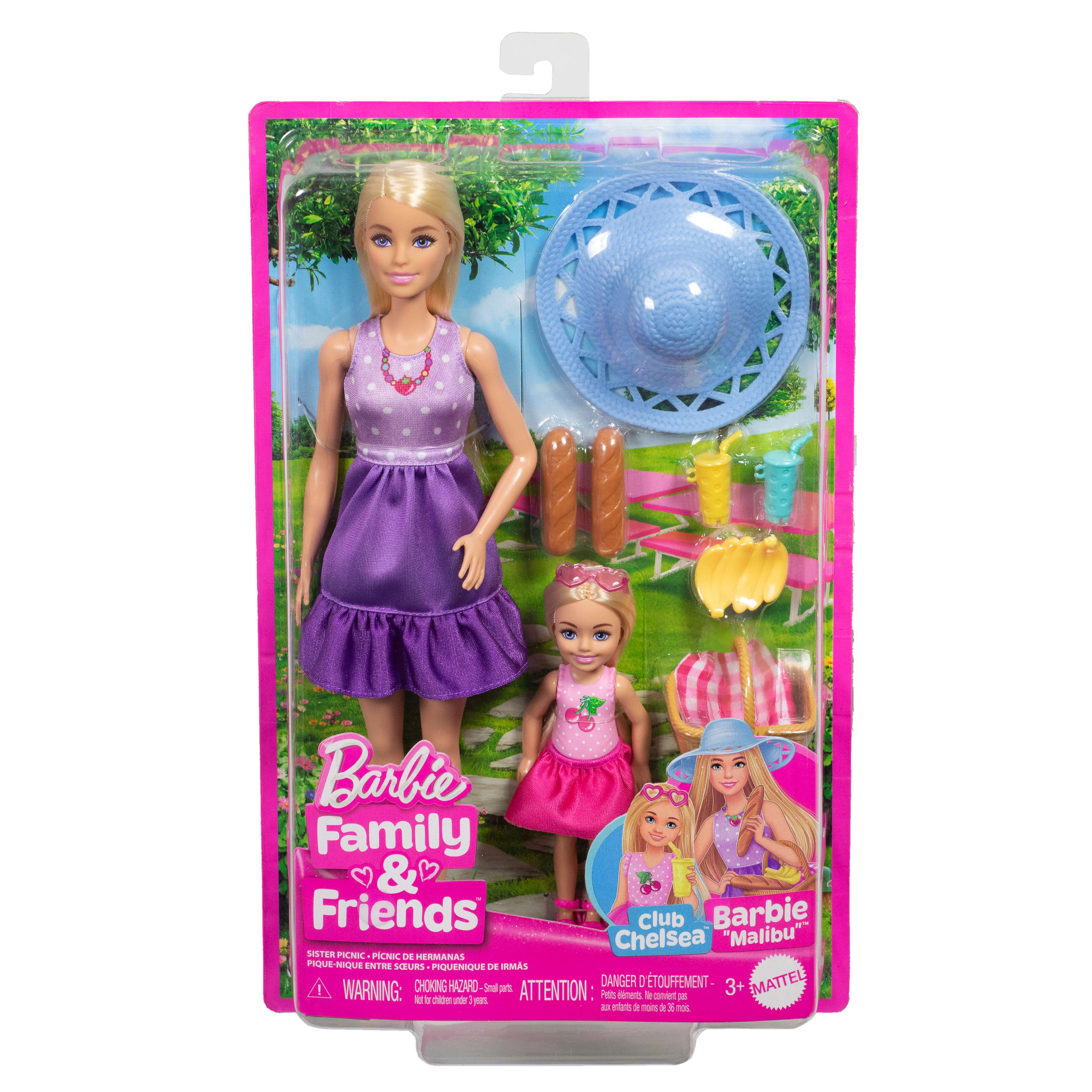 Set Barbie Family and Friends: bambole Barbie e Chelsea con accessori da picnic nella confezione.
