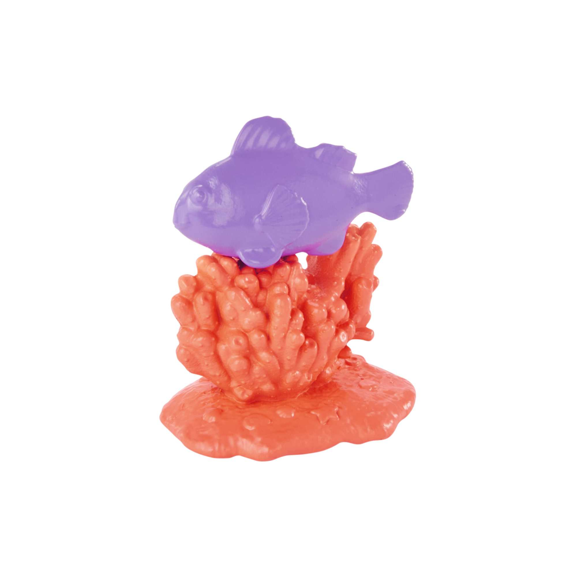 Fioletowa ryba na pomarańczowej korali na białym tle.