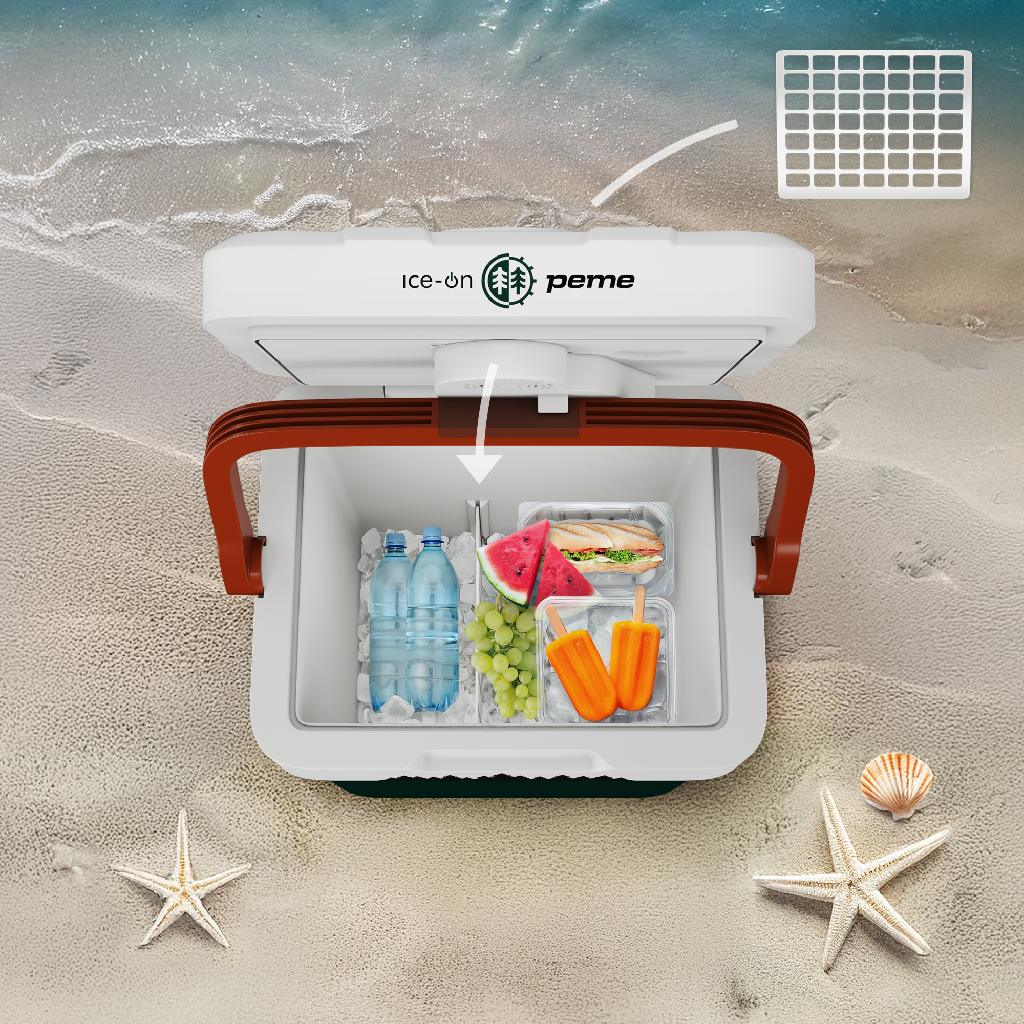 Ein Kühler ist am Strand geöffnet. Wasserflaschen, Obst und Kühlakkus sind drin. Seesterne und eine Muschel.