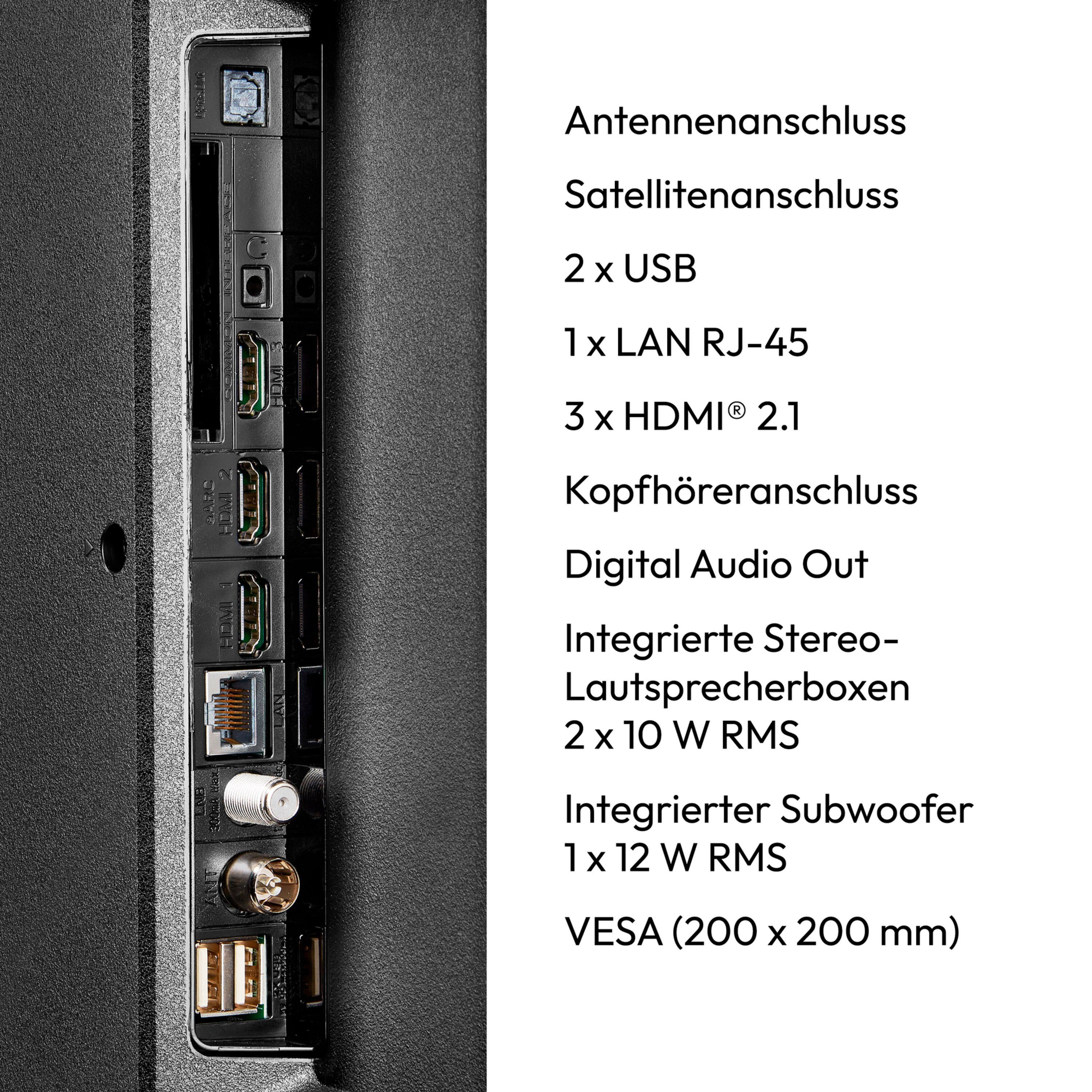 Nahaufnahme der Rückseite eines schwarzen Fernsehers mit verschiedenen Anschlussports, auf Deutsch beschriftet.