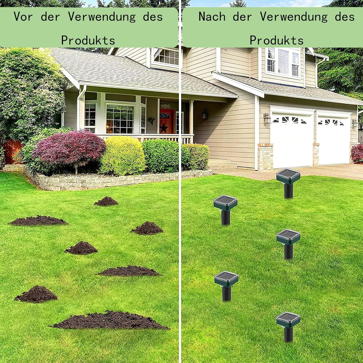 Das Bild zeigt den Rasen vor und nach der Produktverwendung. Vorher Maulwurfshügel, nachher Geräte.