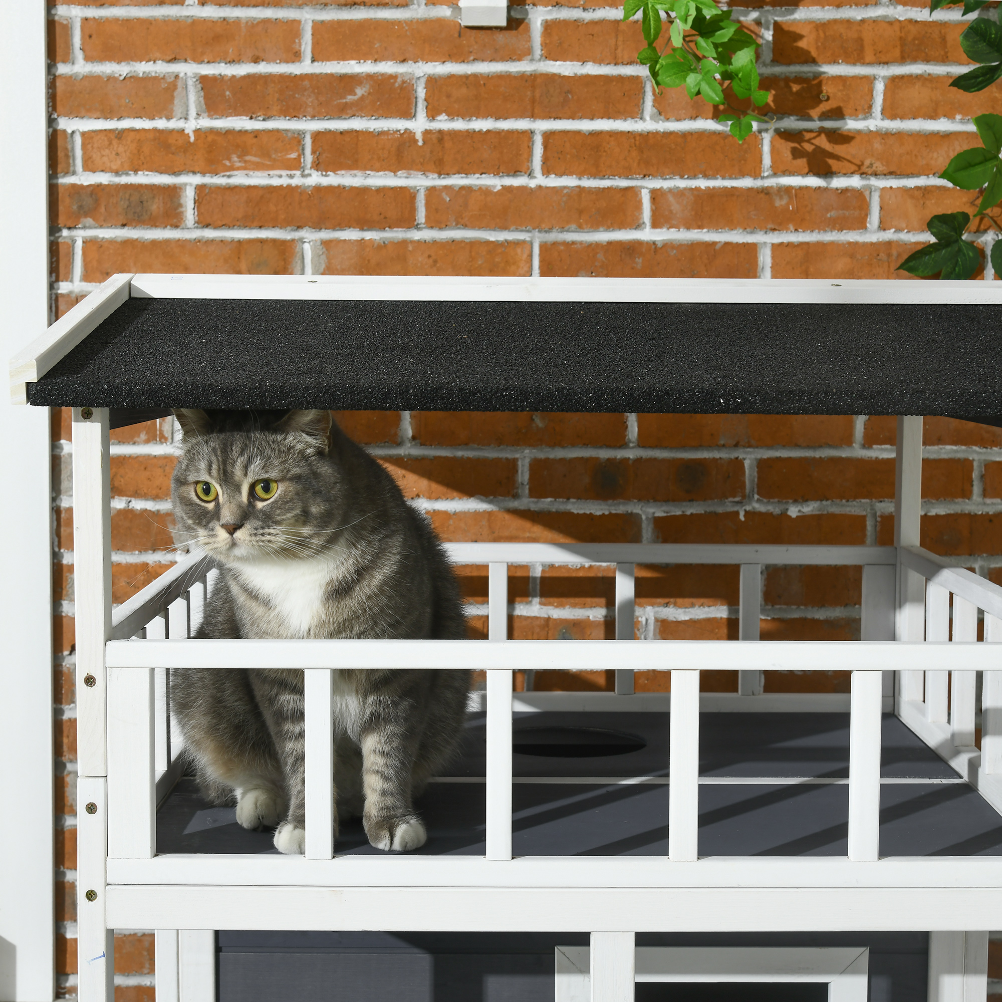 Eine Katze sitzt auf einem Balkon eines mehrstöckigen Katzenhauses, mit einer Backsteinmauer im Hintergrund.