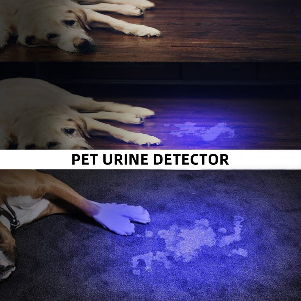 Bilder zeigen die Erkennung von Haustierurin mit UV-Licht. Ein Hund und Urinflecken sind sichtbar.