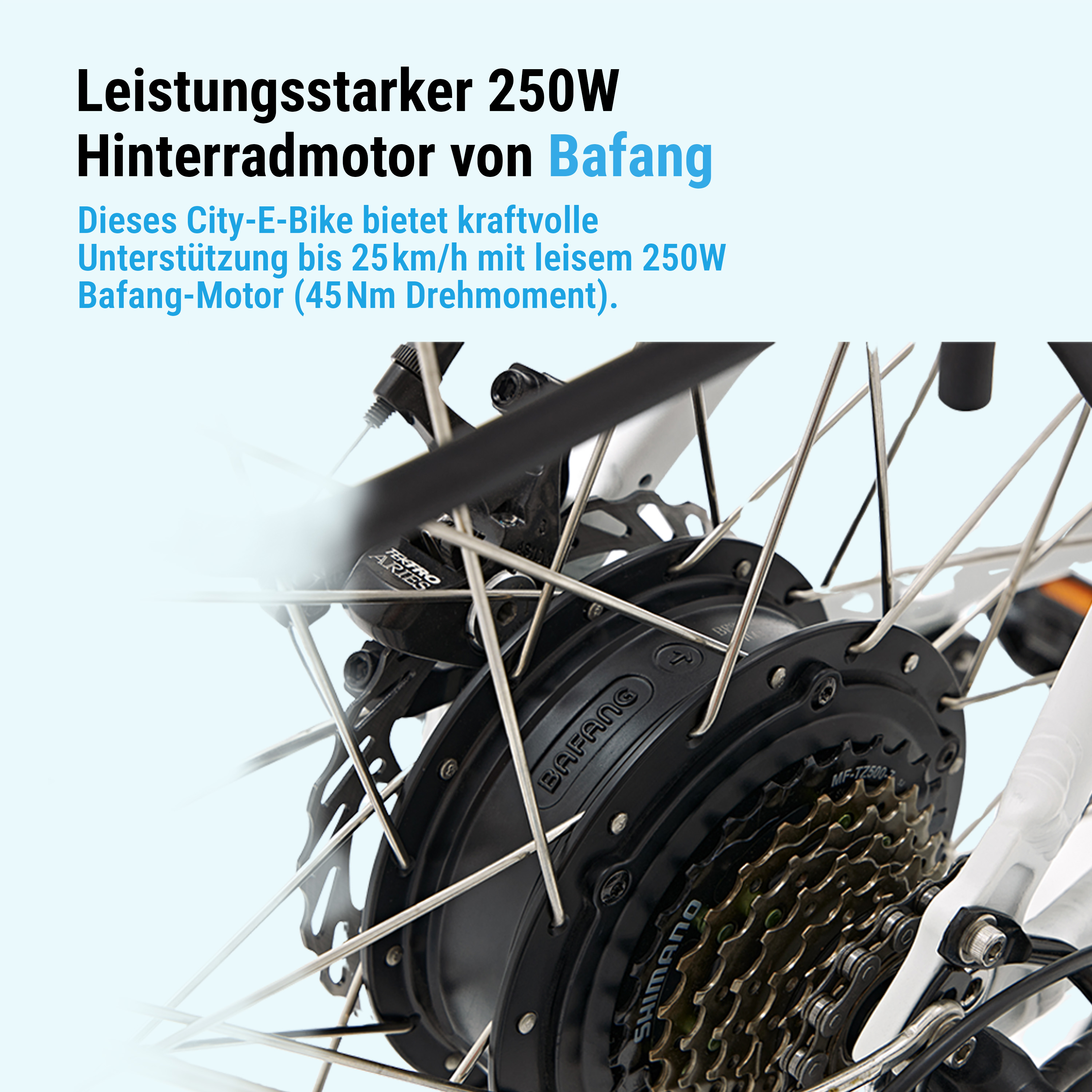 Nahaufnahme des E-Bike-Motors. Text hebt den 250W Motor und die Marke Bafang hervor.