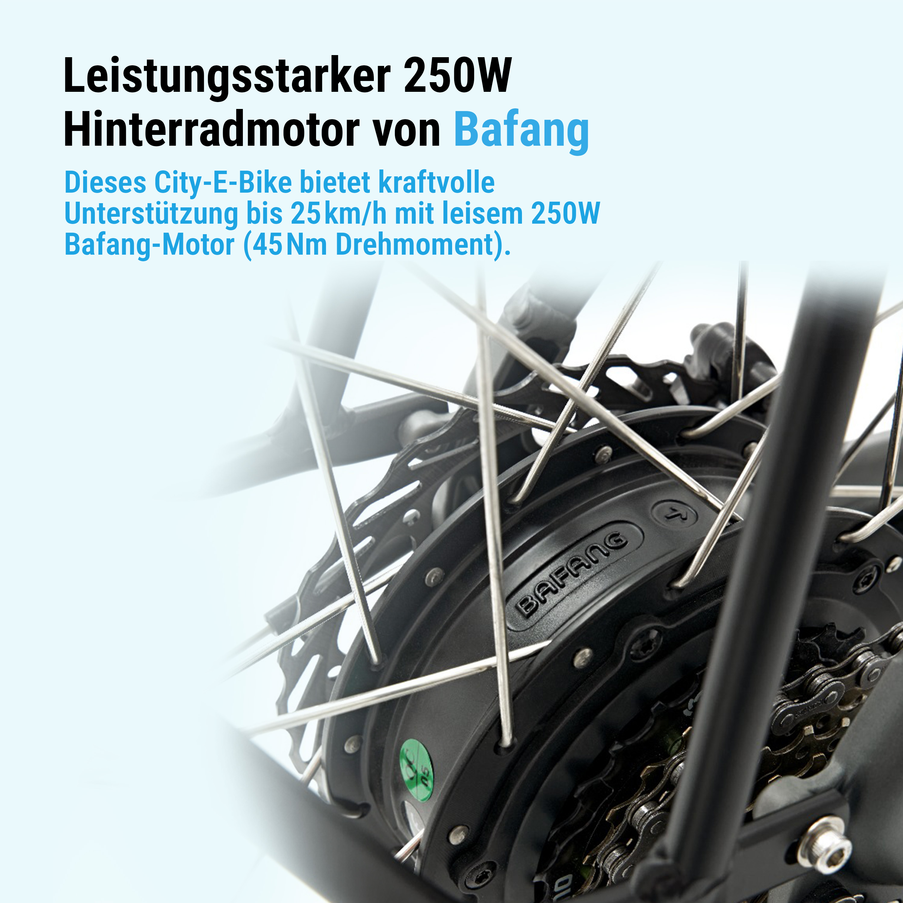 Nahaufnahme des E-Bike-Motors. Text hebt den 250W Motor und die Marke Bafang hervor.
