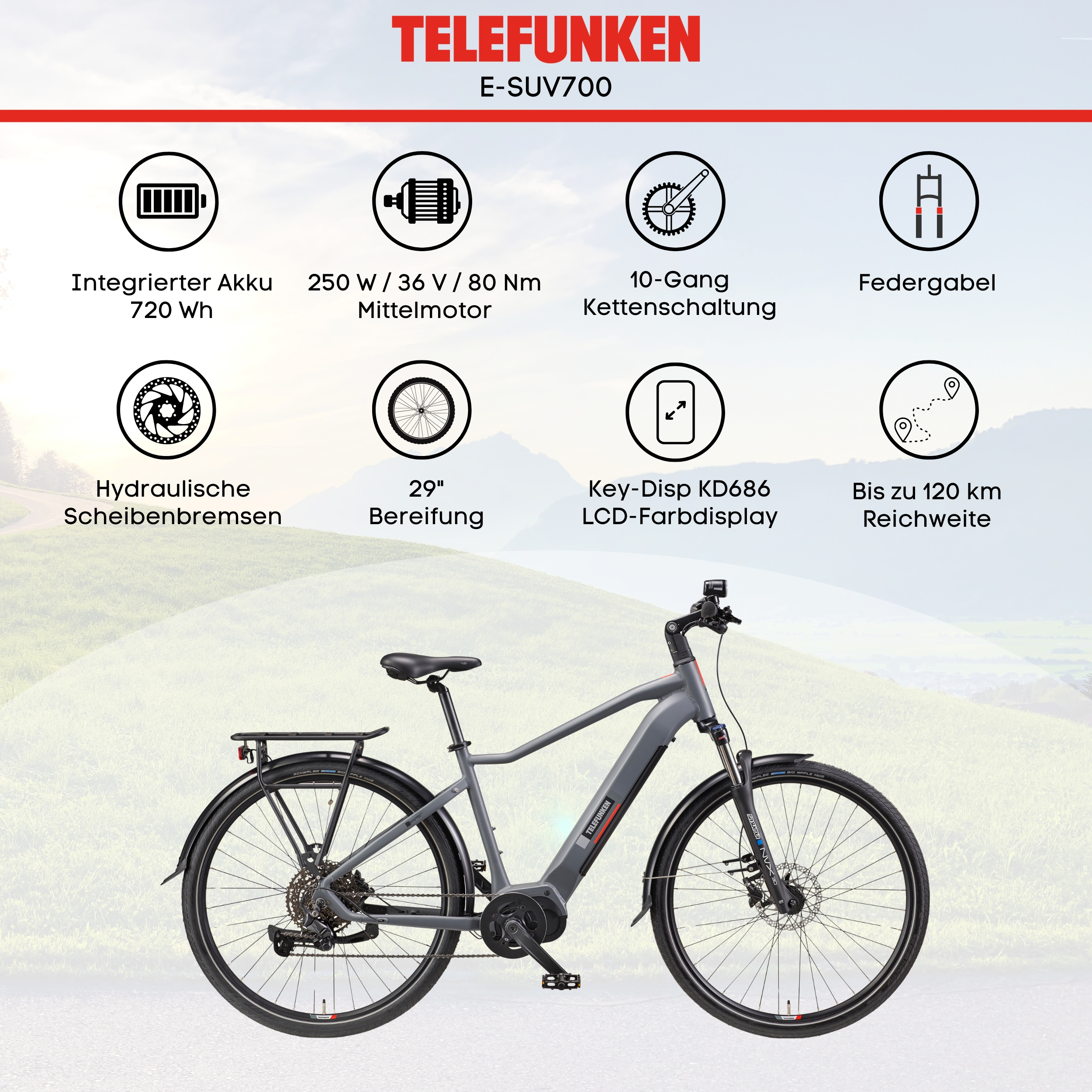 Ein graues Telefunken E-Bike auf einem grünen Hügel. Es hat verschiedene Details und ein rotes Logo.