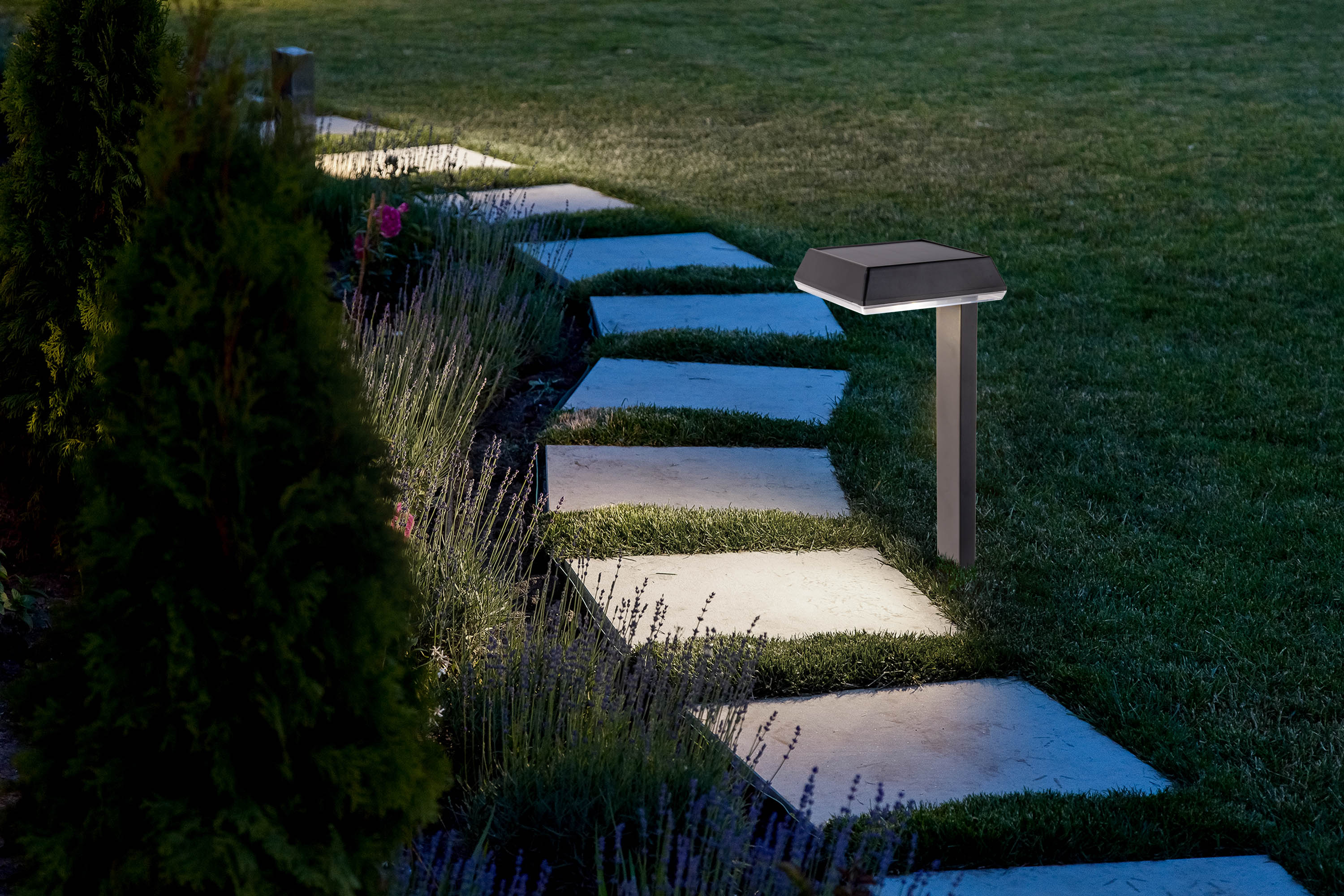 Gartenweg mit Solarleuchten, grünes Gras, Nachtansicht.