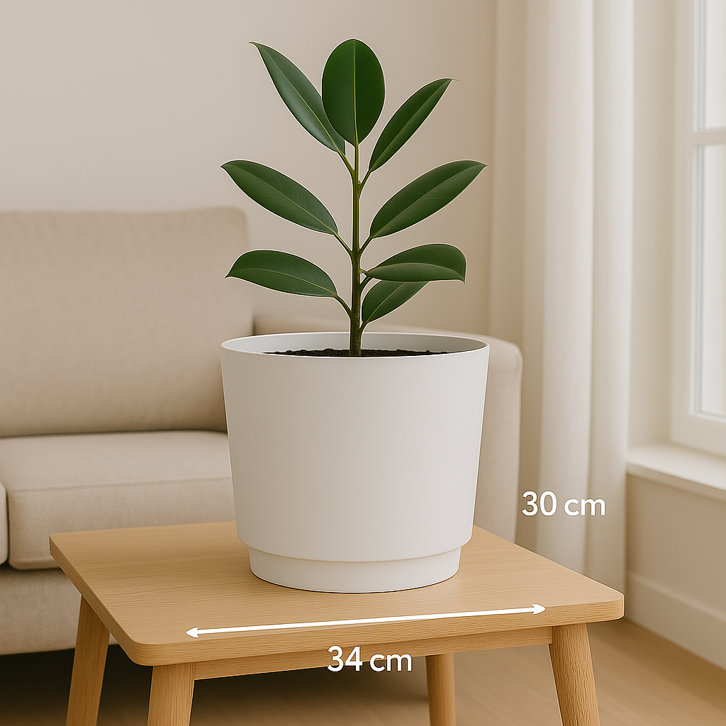 Een plant in pot op een houten tafel, met een beige bank en raam op de achtergrond. Afmetingen zichtbaar.