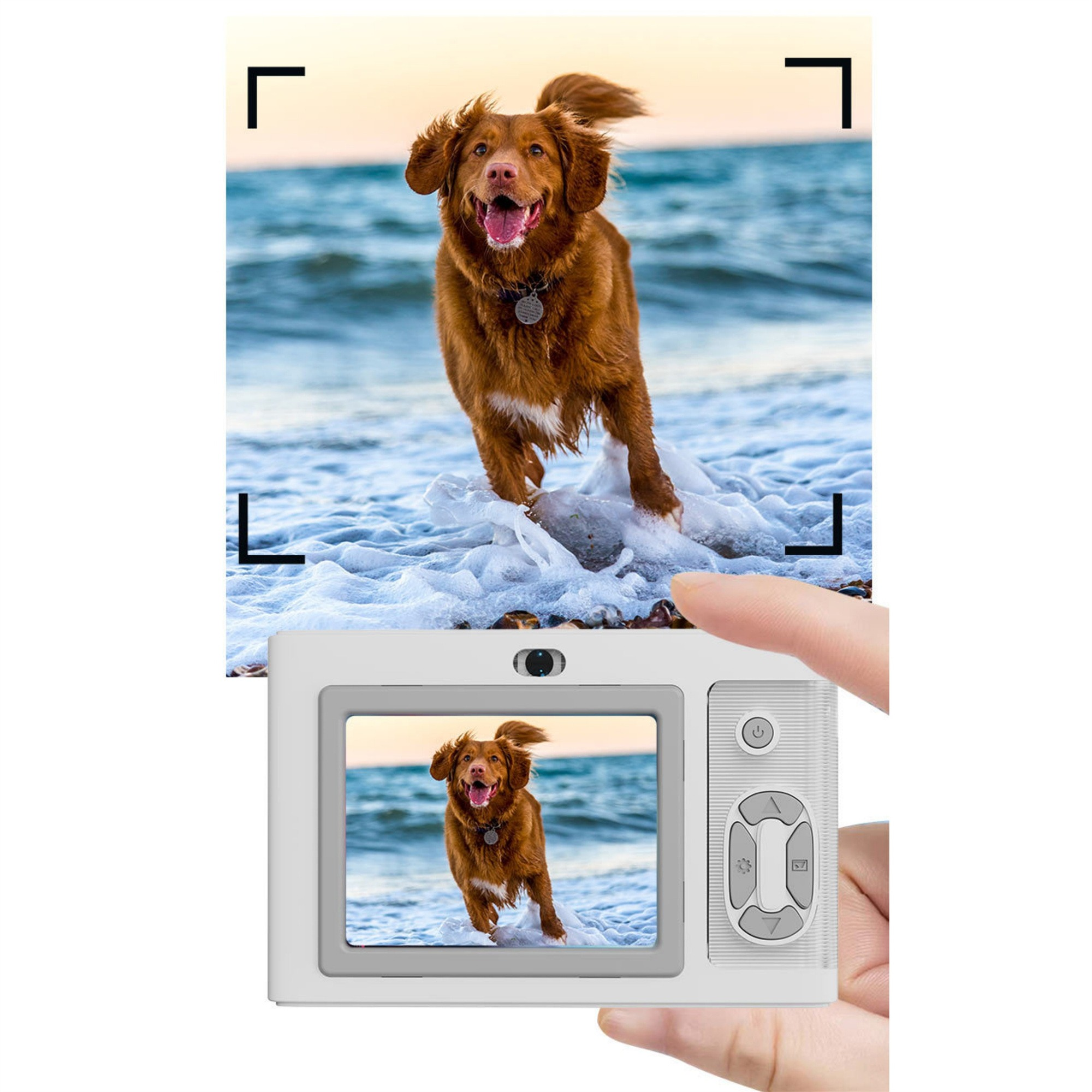Ein Hund rennt am Strand. Eine Kamera zeigt dasselbe Bild mit einer Rahmenüberlagerung und Steuertasten.