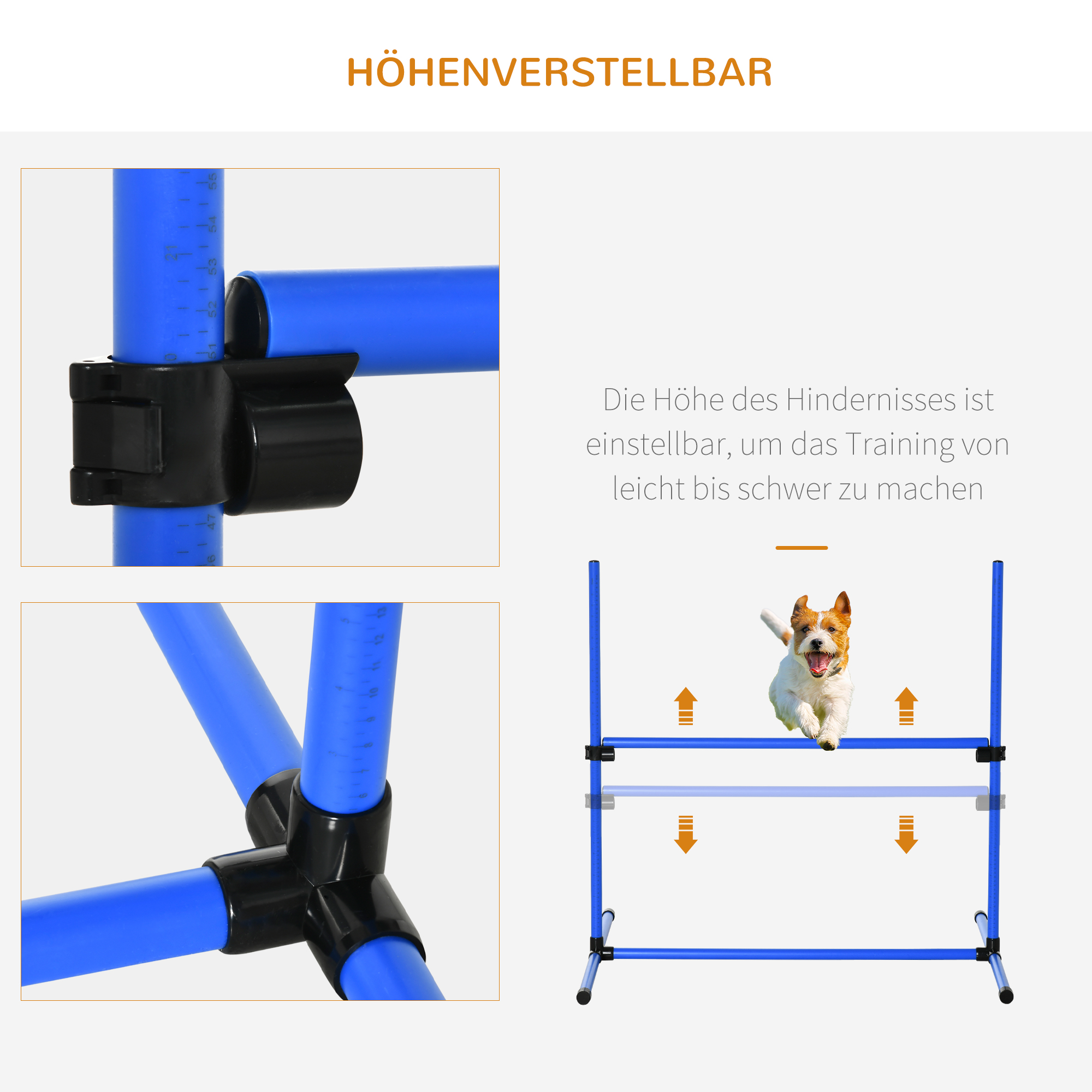 Hunde-Agility-Geräte. Blaue Stangen und schwarze Verbinder. Ein Hund springt über ein Hindernis.