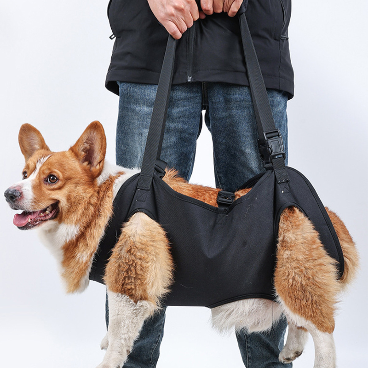 Osoba niesie psa rasy corgi w czarnej chuście. Pies jest brązowo-biały.