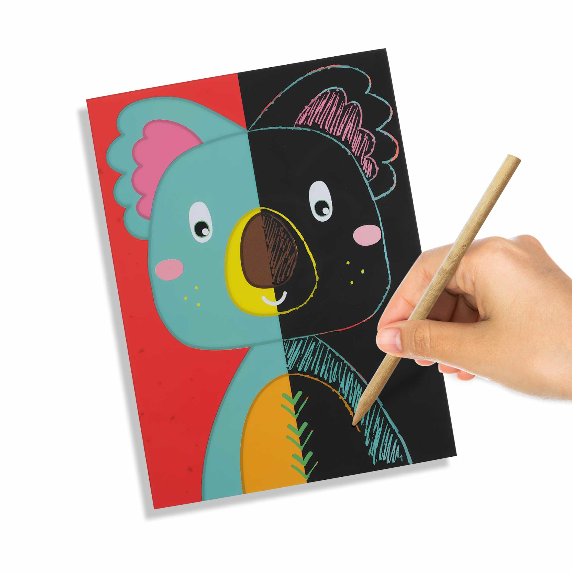 Eine Hand, die einen Koala kratzt. Der Koala ist geteilt und zeigt eine schwarz-weiße Seite neben einer farbigen Seite.