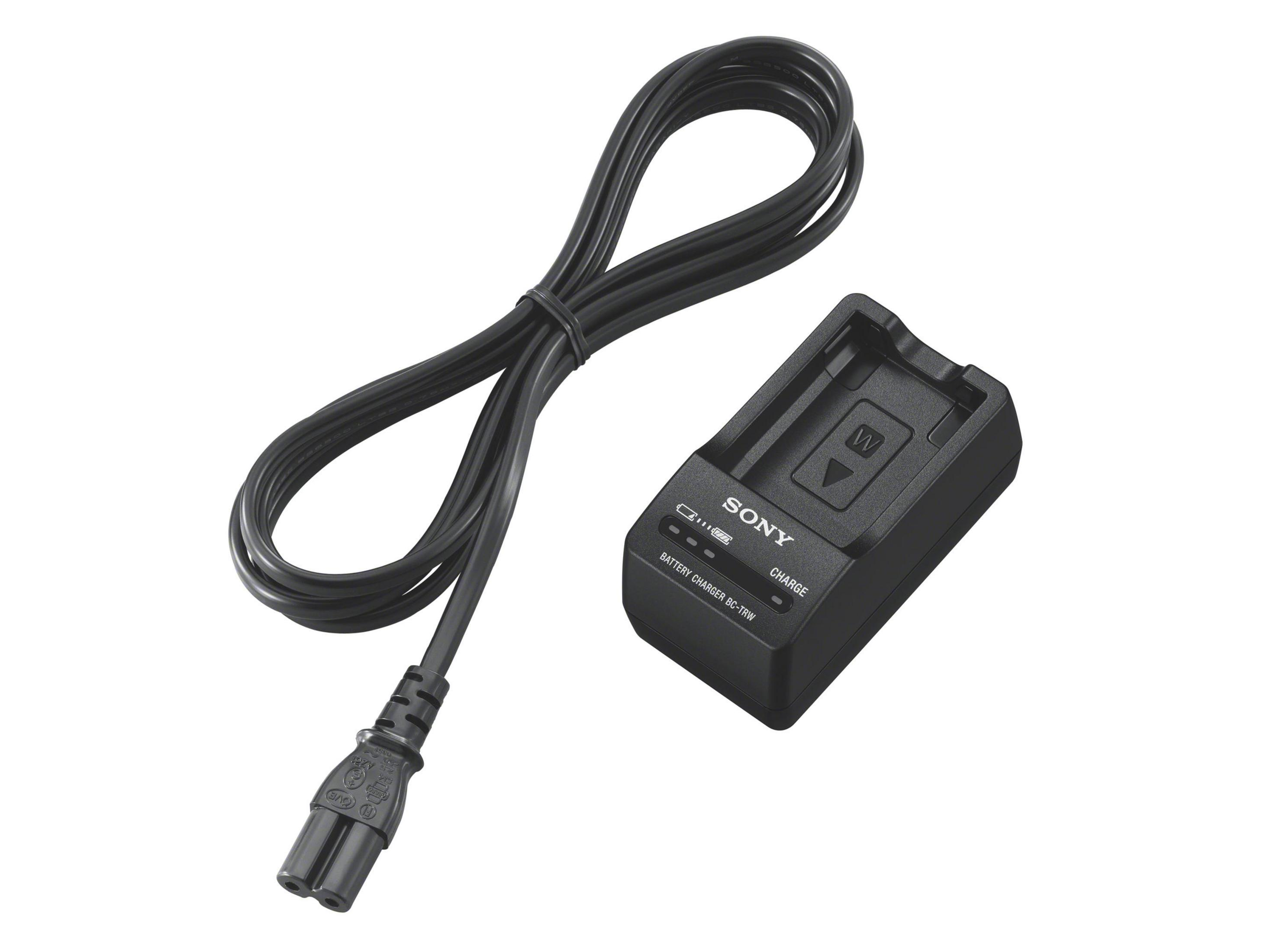 Cargador y cable negro para cámara Sony sobre fondo blanco. El cargador tiene el logotipo de Sony.