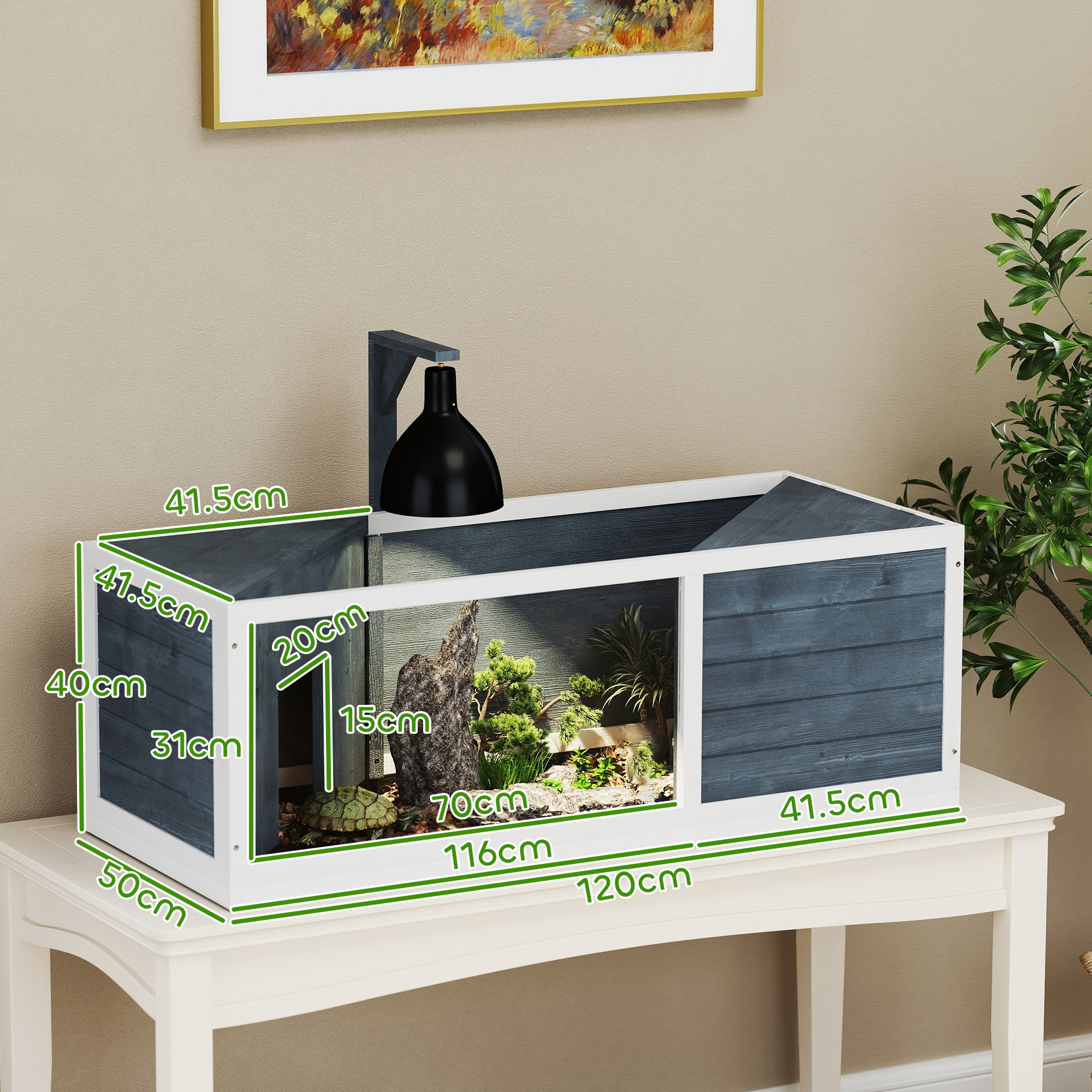 Holzterrarium mit beschrifteten Abmessungen, das Pflanzen und eine Schildkröte enthält.