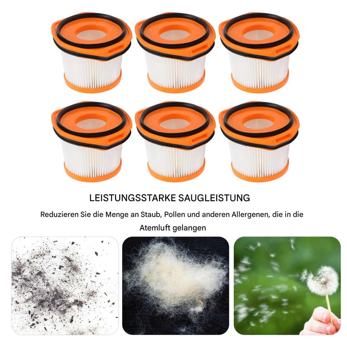 Sechs orangefarbene Filter sind angeordnet. Unten sind drei Bilder mit Staub, Tierhaaren und Samen von einem Löwenzahn.
