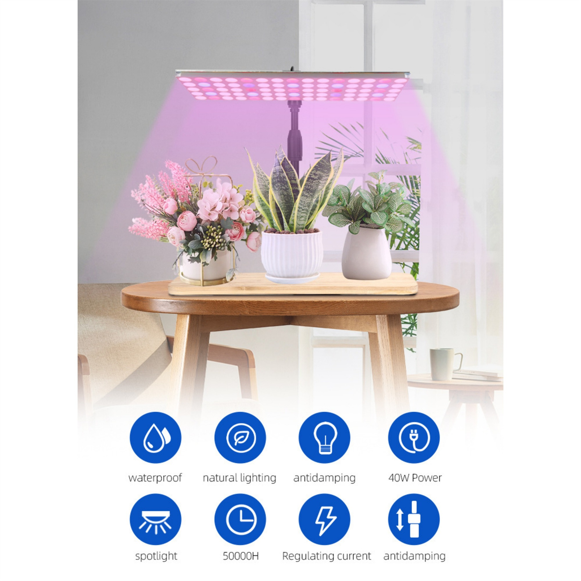 Pflanzen unter Pflanzenlicht. Pflanzen auf Holztisch. Symbole für wasserdicht, natürliches Licht usw.