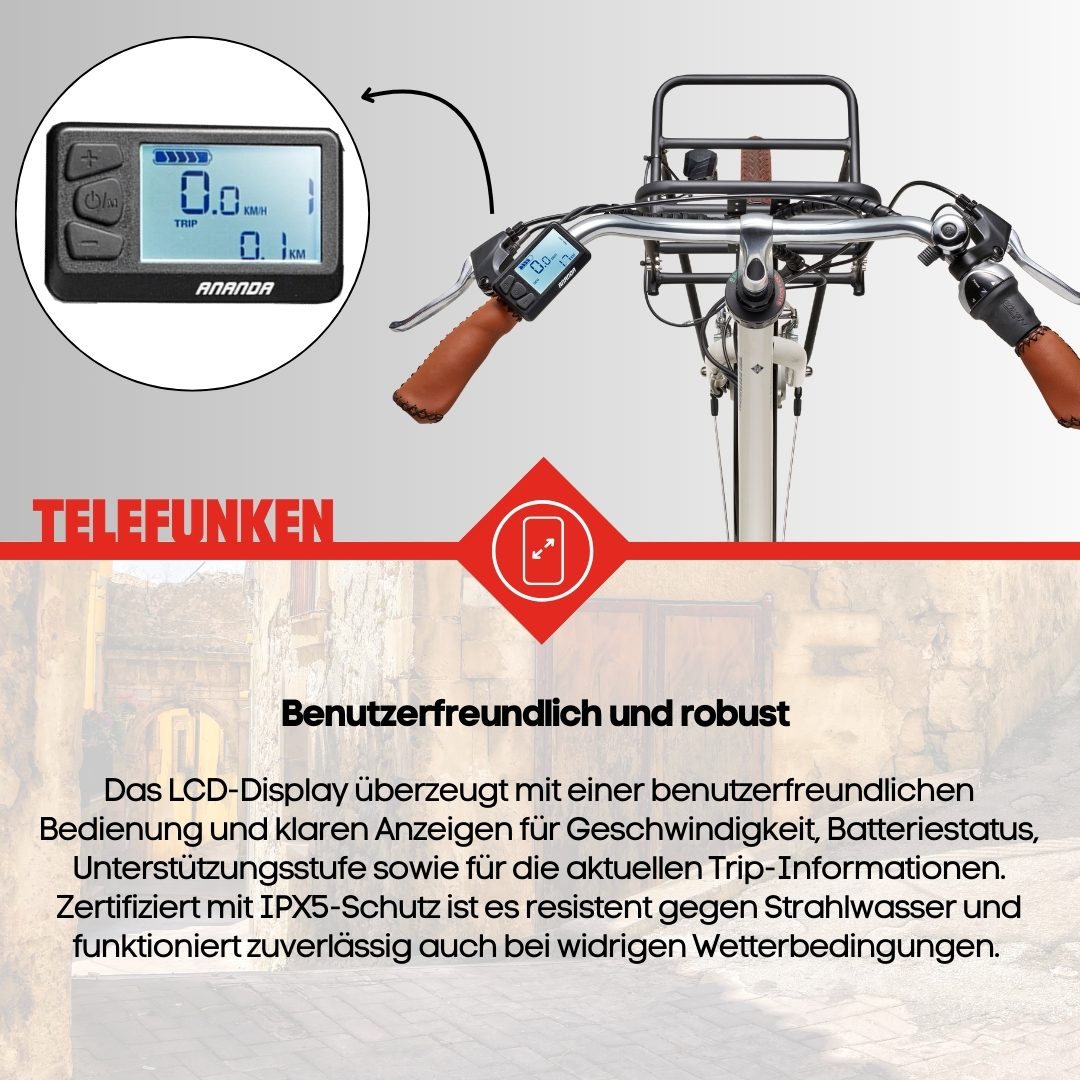 Eine E-Bike-Werbung mit Display-Detail und Text auf verschwommenem Hintergrund.
