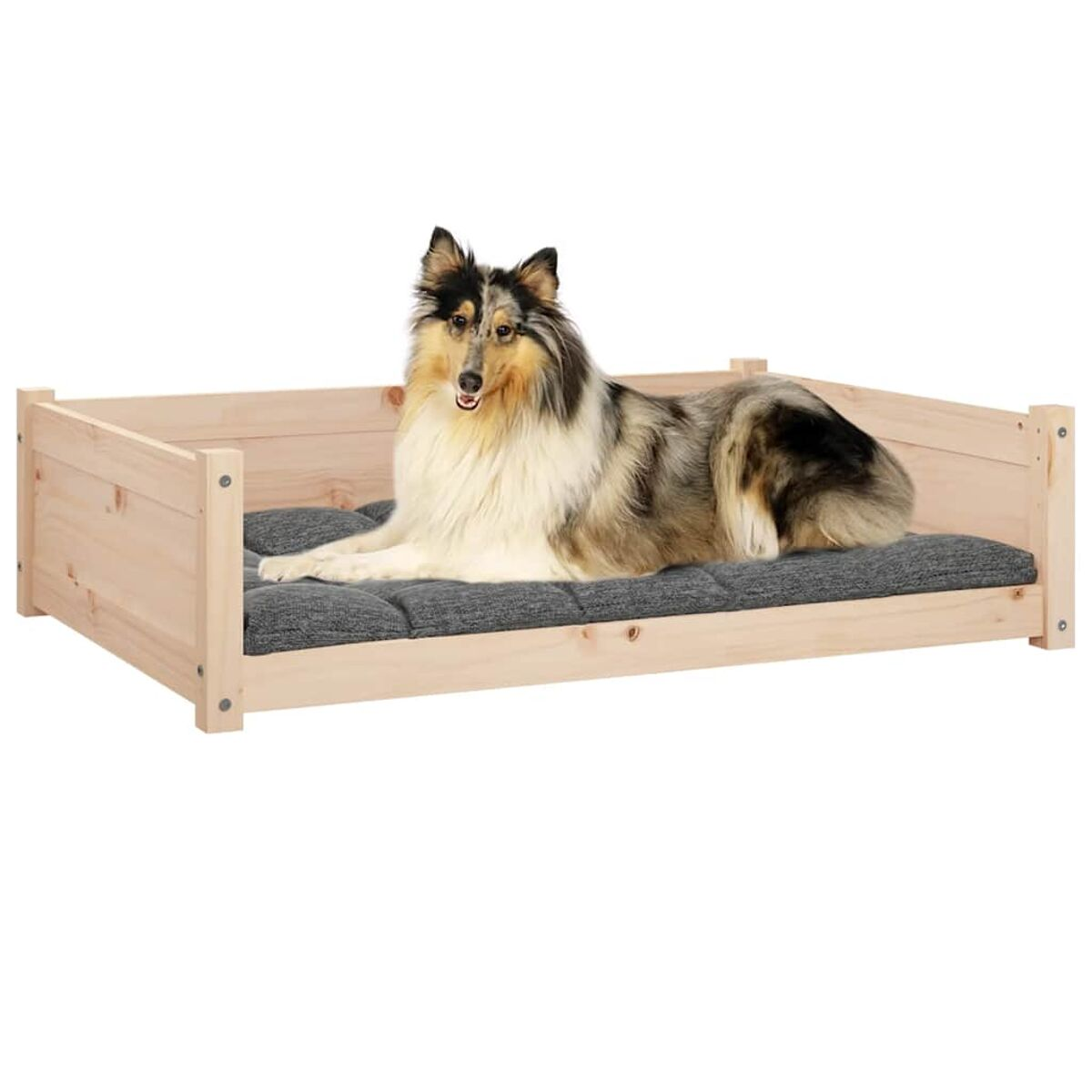 Hundebett mit einem Hund, der darauf liegt. Der Hund ist braun, weiß und schwarz.