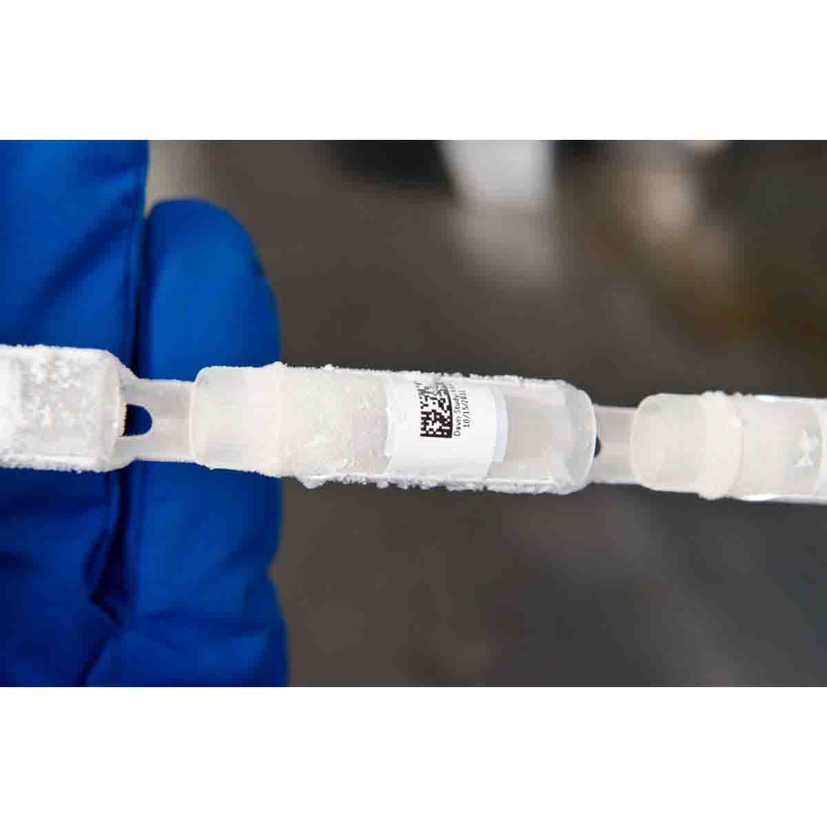 Primo piano di provette di plastica trasparente congelate contenenti sostanze bianche. Una mano guantata di blu sullo sfondo.