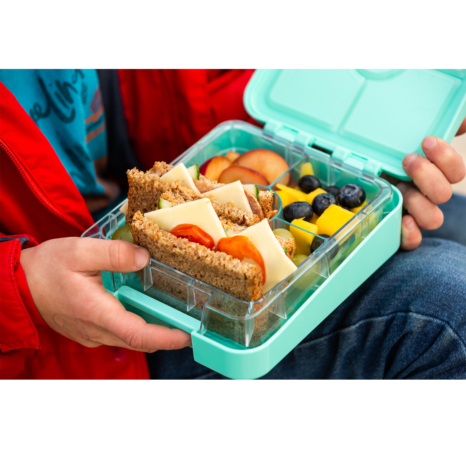Brotdose mit Sandwiches, Obst und Gemüse. Von Händen gehalten. Grüne und transparente Fächer.