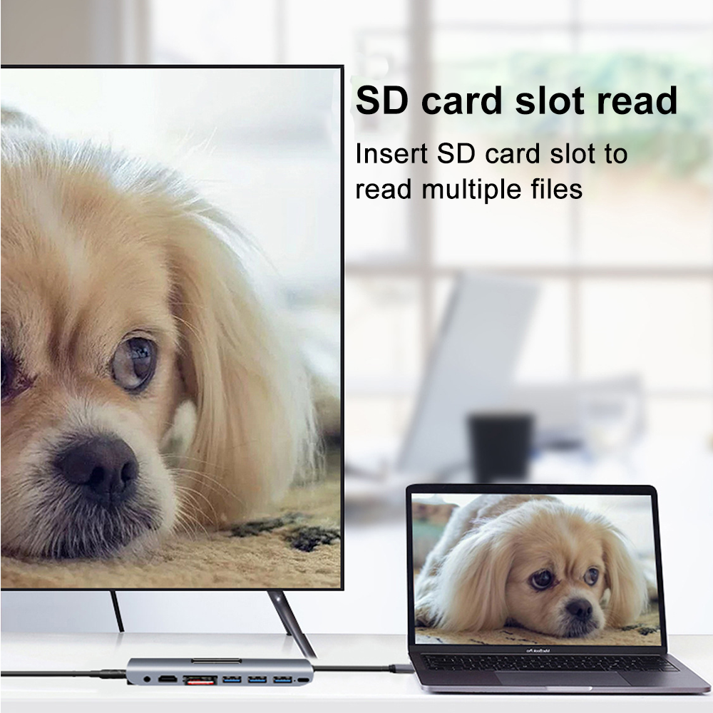 Ein Monitor zeigt einen Hund. Ein Laptop zeigt denselben Hund. Der Laptop verbindet sich mit einem Hub.