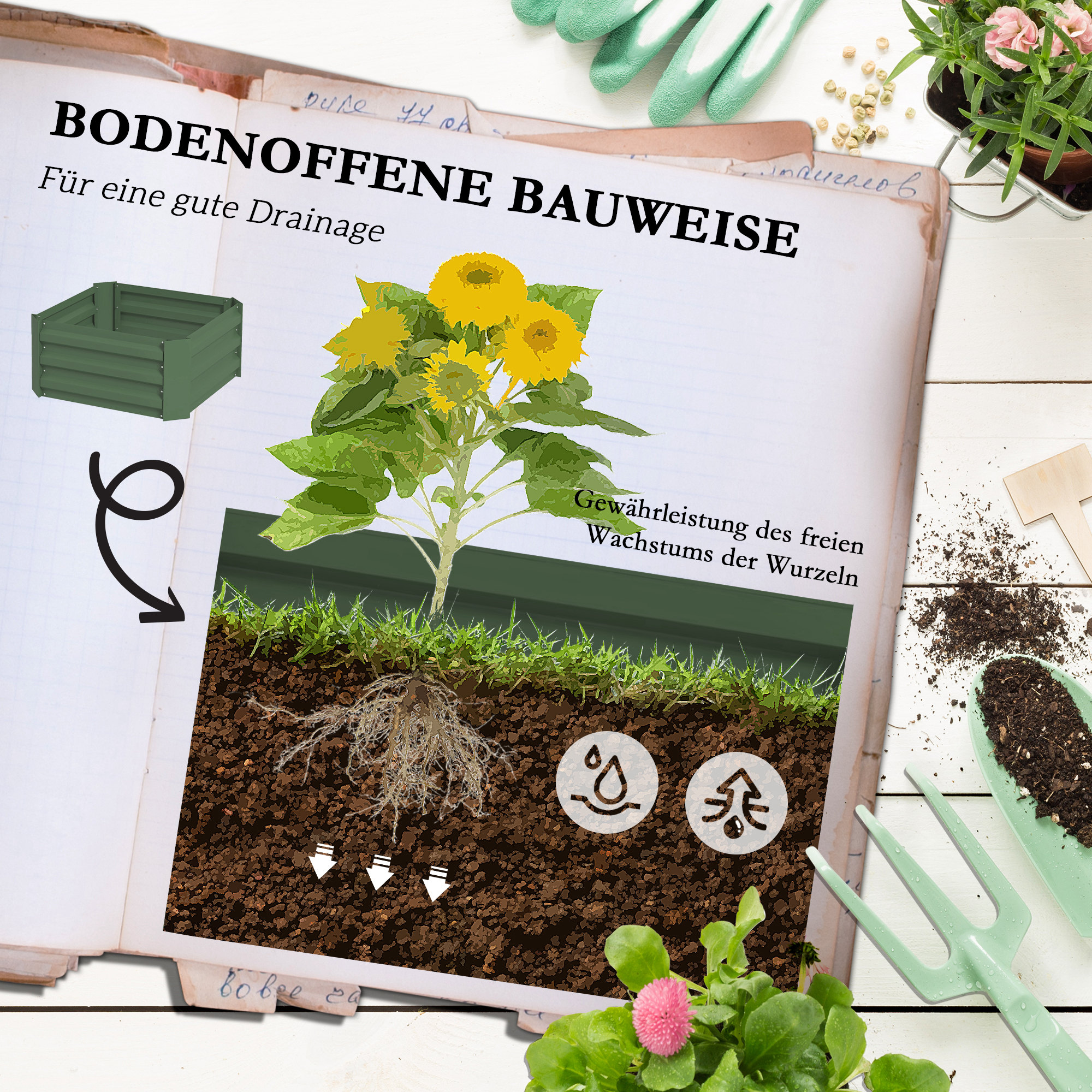 Eine Seite mit einer Sonnenblume mit Wurzeln im Boden und einem grünen Beet. Text auf Deutsch.
