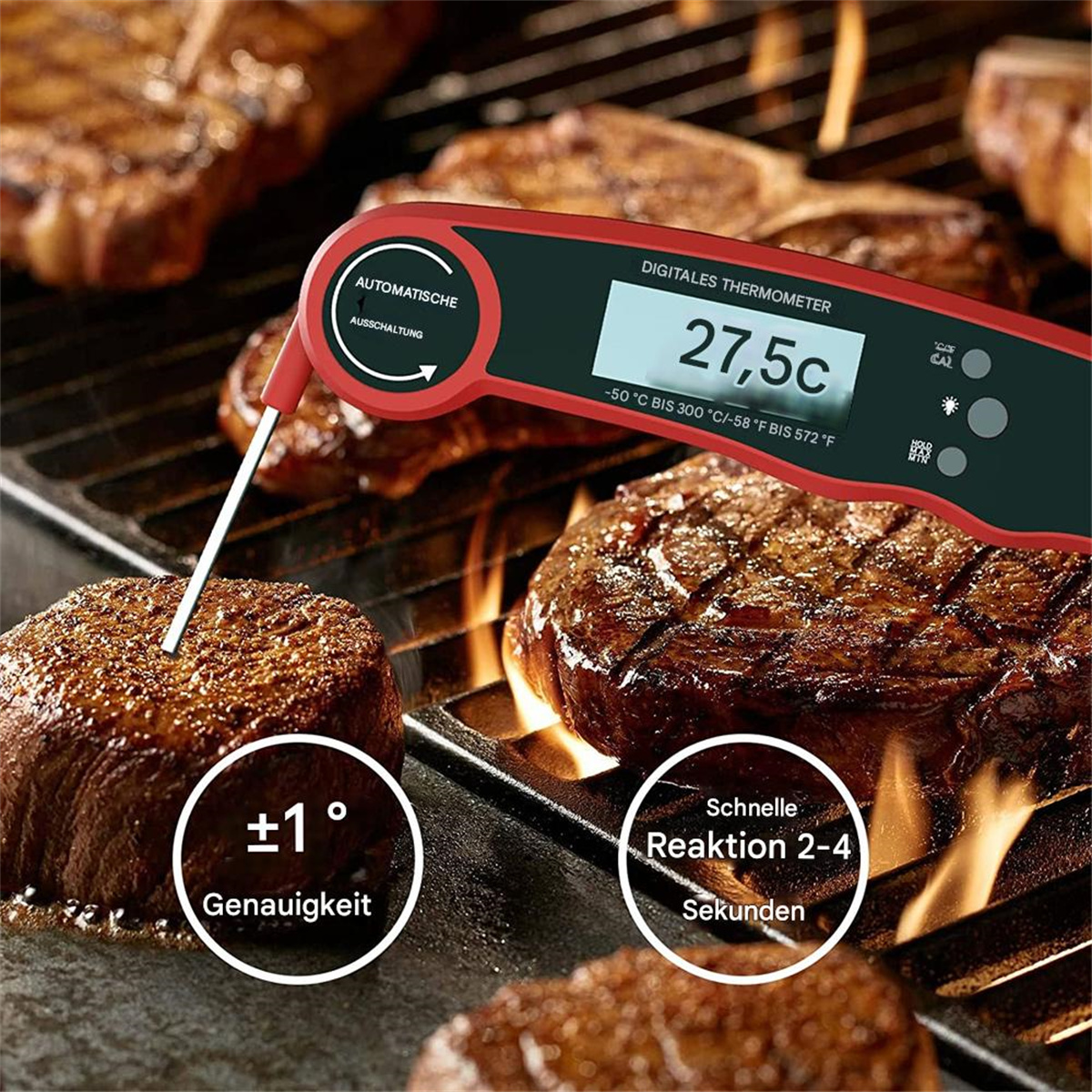 Fleischthermometer zeigt 27,5°C an. Das Thermometer ist rot und schwarz und steckt in einem Steak auf einem Grill.