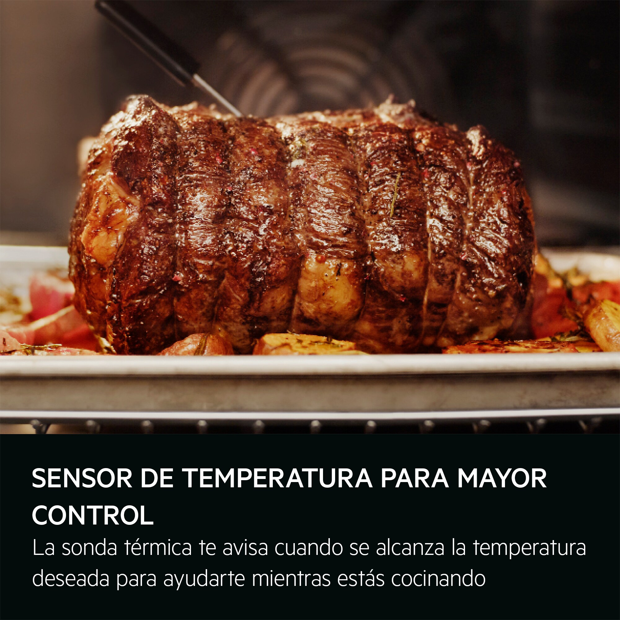 Carne arrosto con sensore di temperatura in un forno. Testo: 'Sensore di temperatura per un migliore controllo'.
