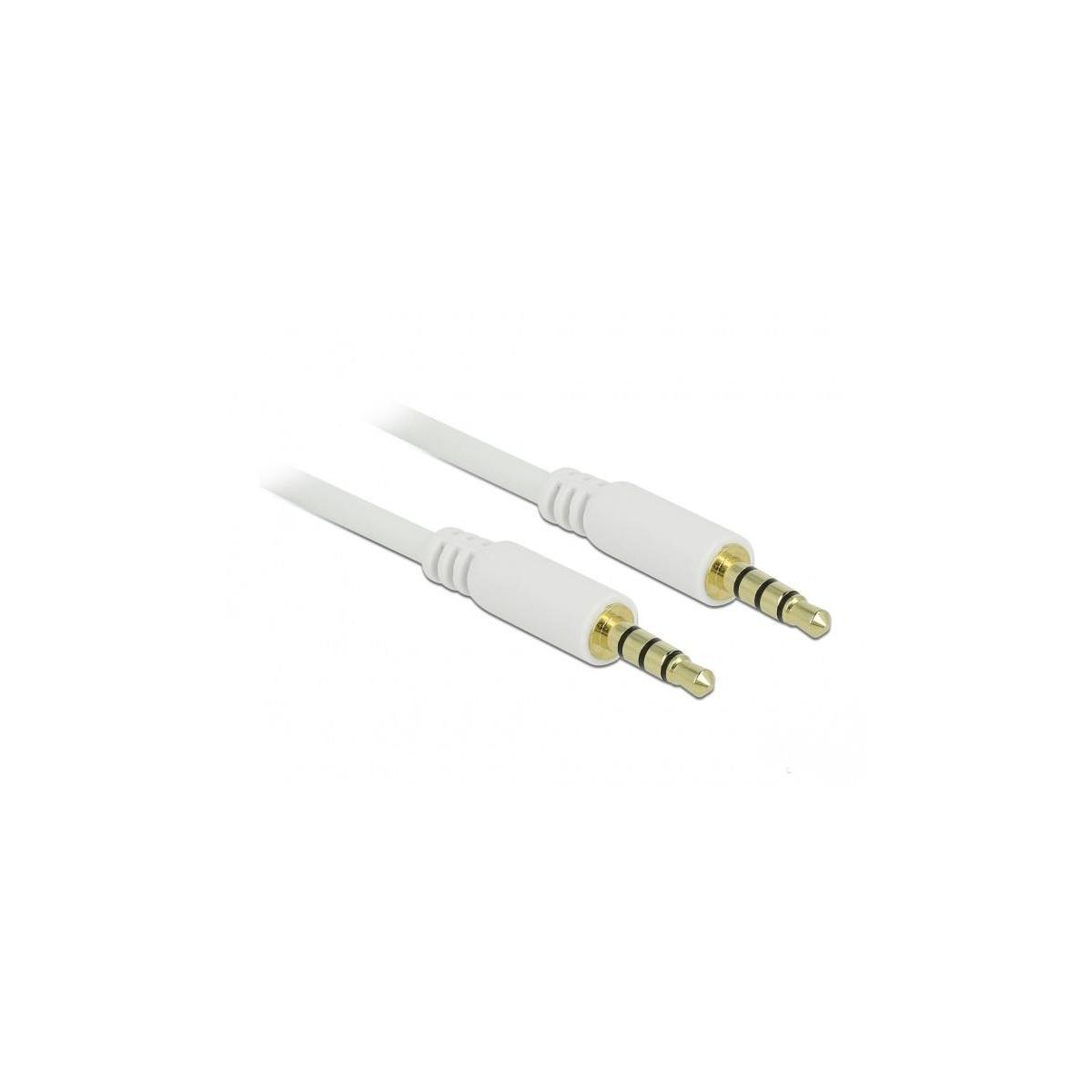Deux câbles audio blancs avec connecteurs dorés. Les câbles sont sur fond blanc.