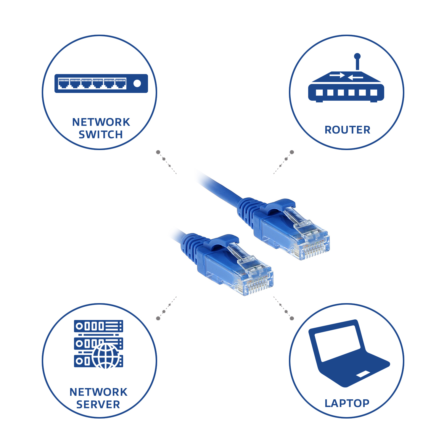 Diagramma di uno switch di rete, router, server di rete e laptop collegati da cavi Ethernet blu.
