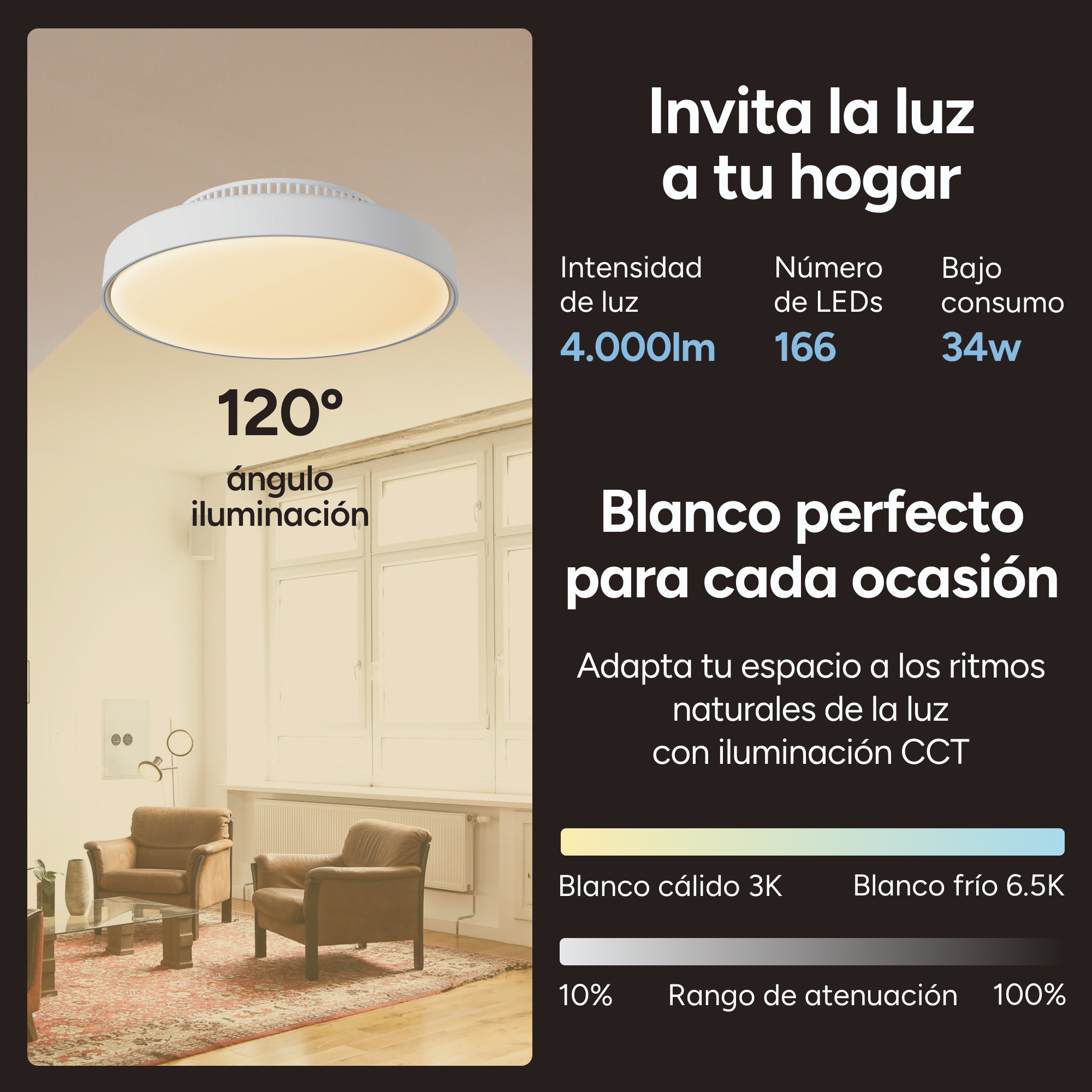 Una habitación con una lámpara de techo y texto que describe sus características en español.