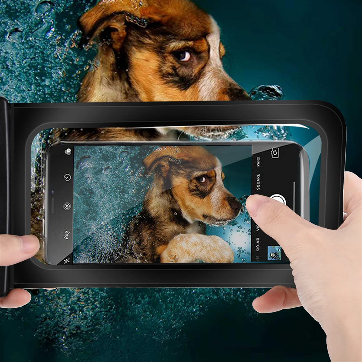 Telefon in wasserdichter Hülle. Das Telefon zeigt einen Hund im Wasser, der fotografiert wird.