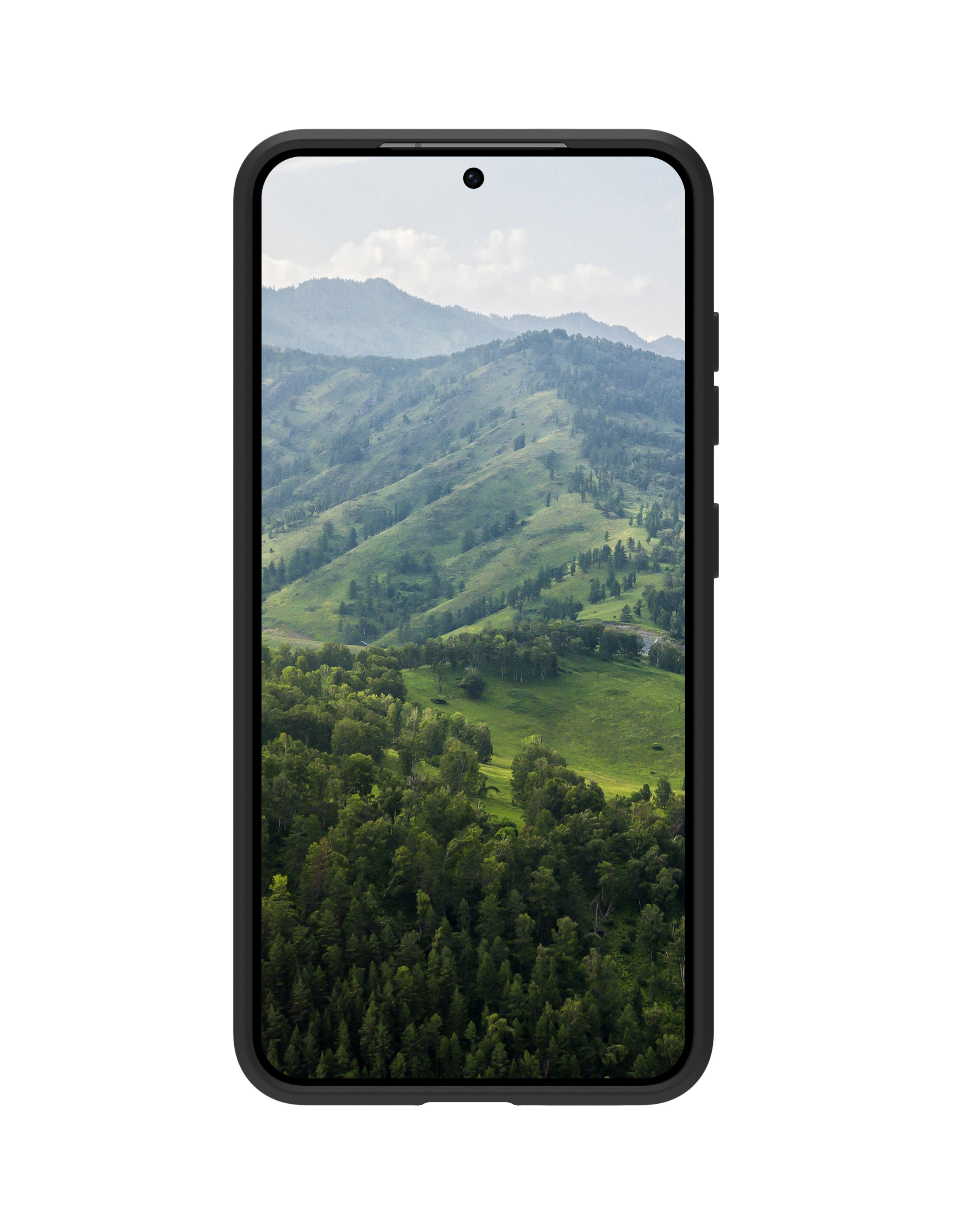 Un telefono in una custodia nera mostra un paesaggio con alberi verdi e montagne.