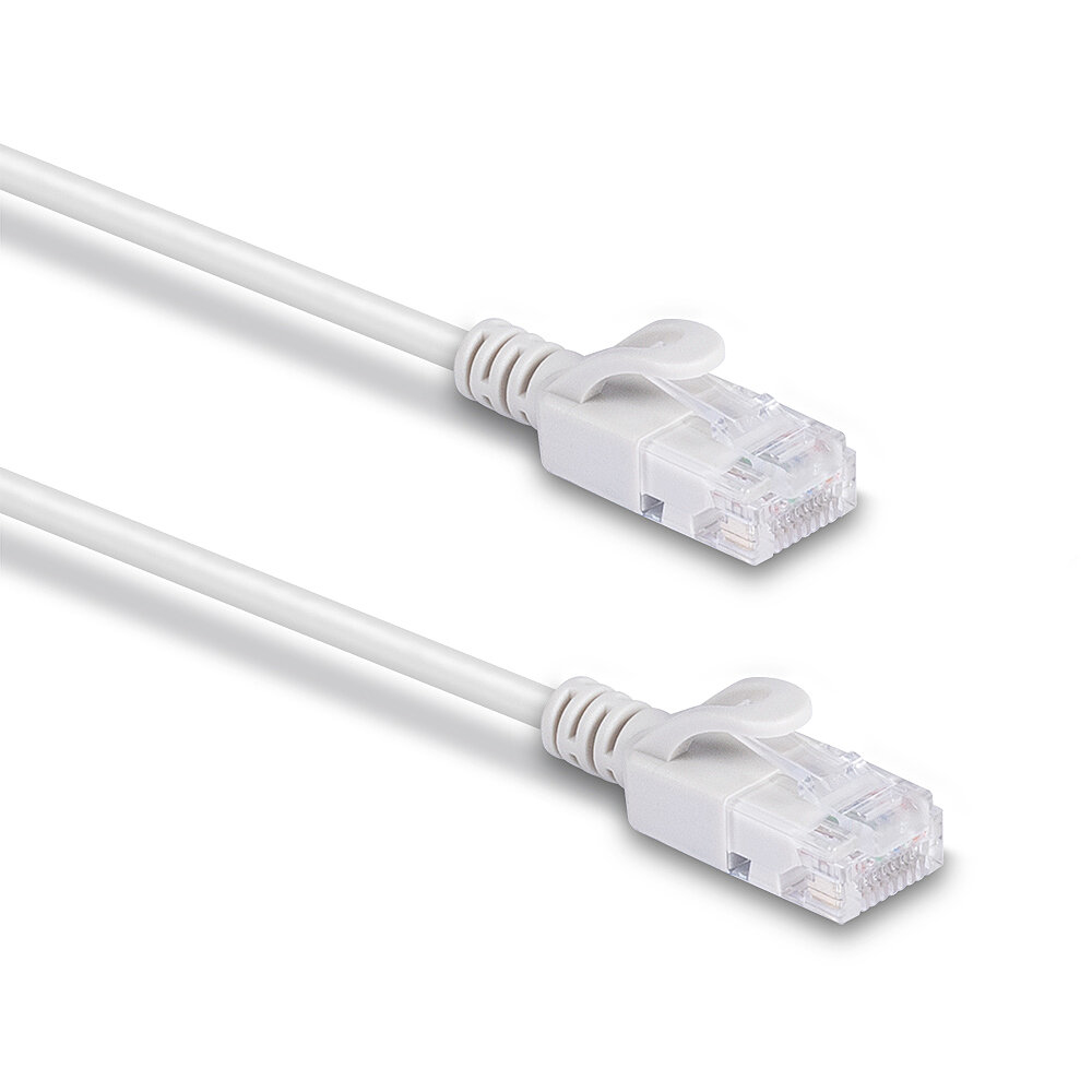 Deux câbles réseau blancs avec des connecteurs blancs. Les connecteurs sont orientés vers l'avant.
