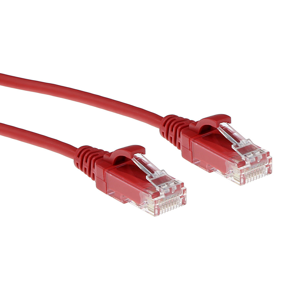 Zwei rote Ethernet-Kabel mit Steckern. Der Hintergrund ist weiß.