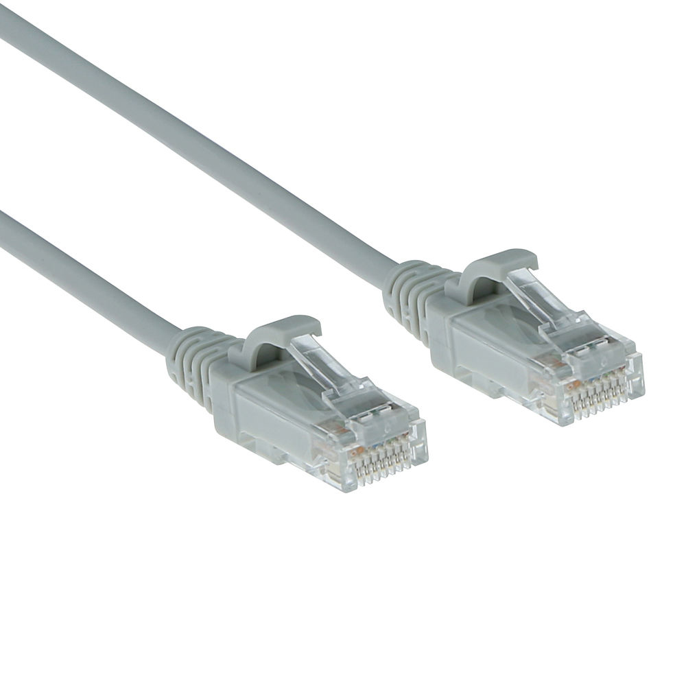 Deux câbles Ethernet gris avec connecteurs transparents, isolés sur fond blanc.