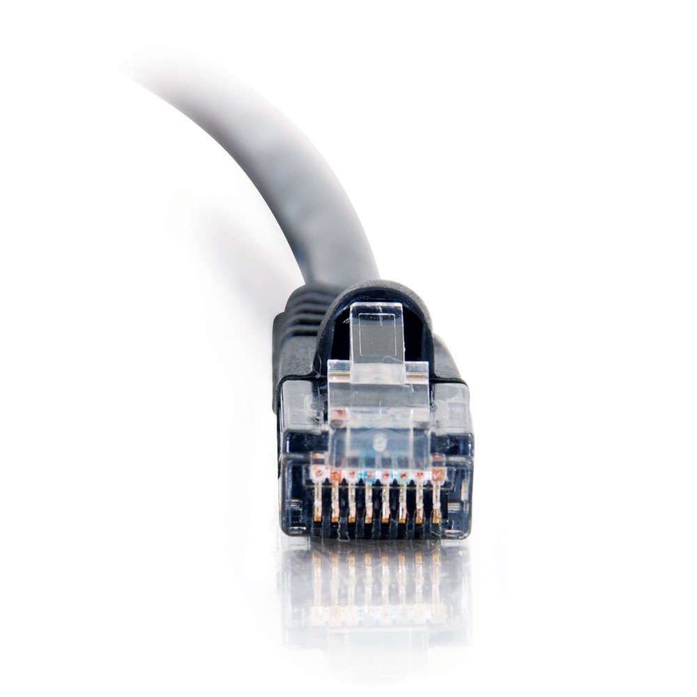 Connettore cavo Ethernet, vista ravvicinata. Sfondo bianco.