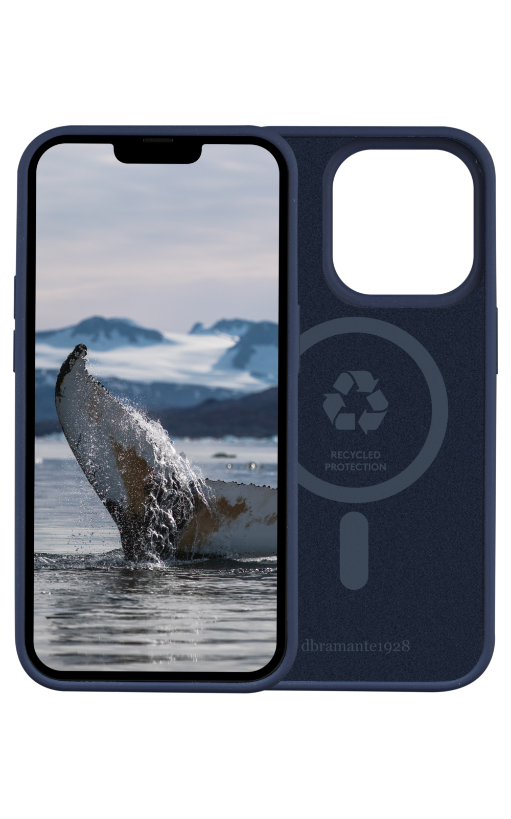 Custodia blu con immagine di balena sul retro. Lo schermo mostra acqua e montagne.