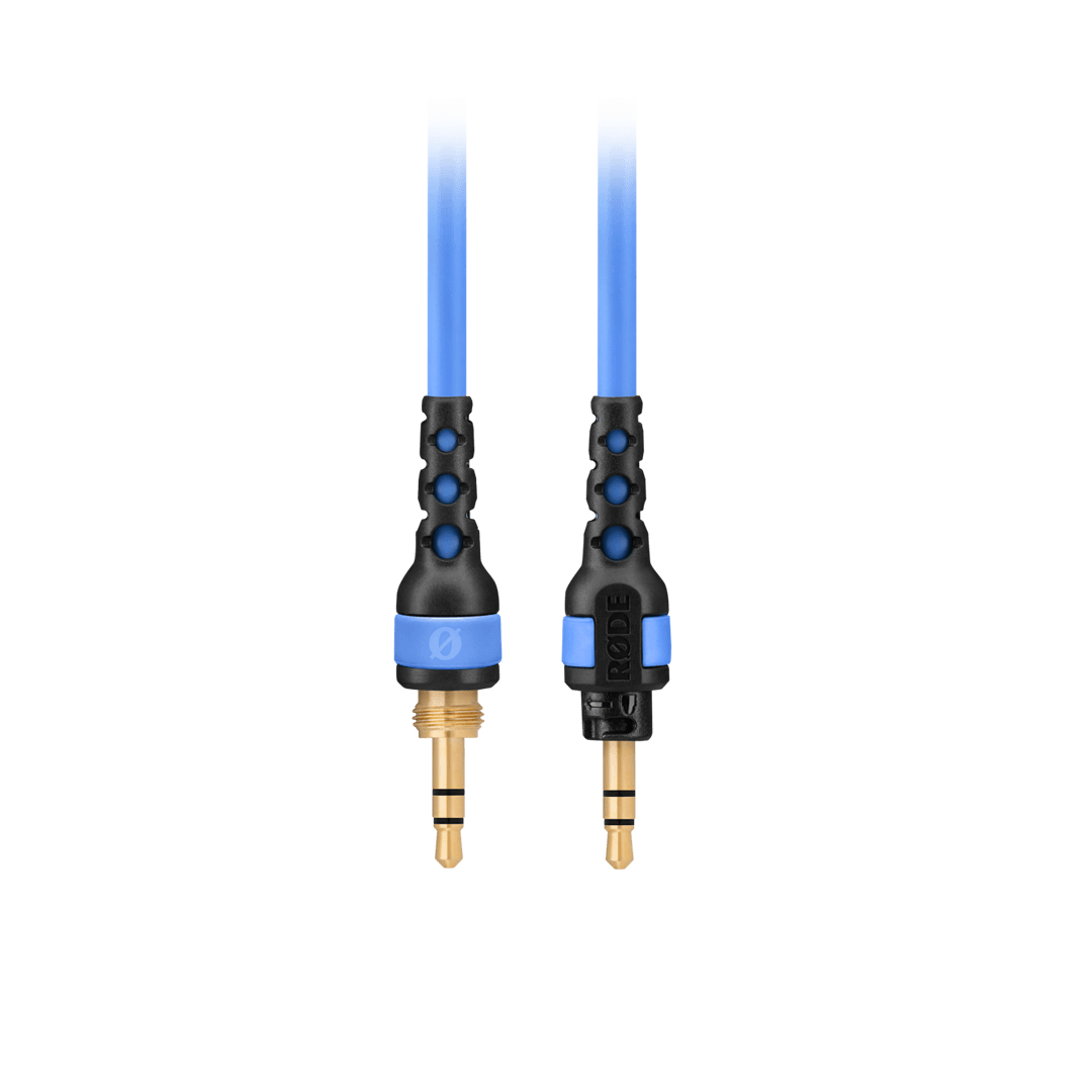 Due cavi audio blu con connettori neri e punte dorate, su sfondo bianco.
