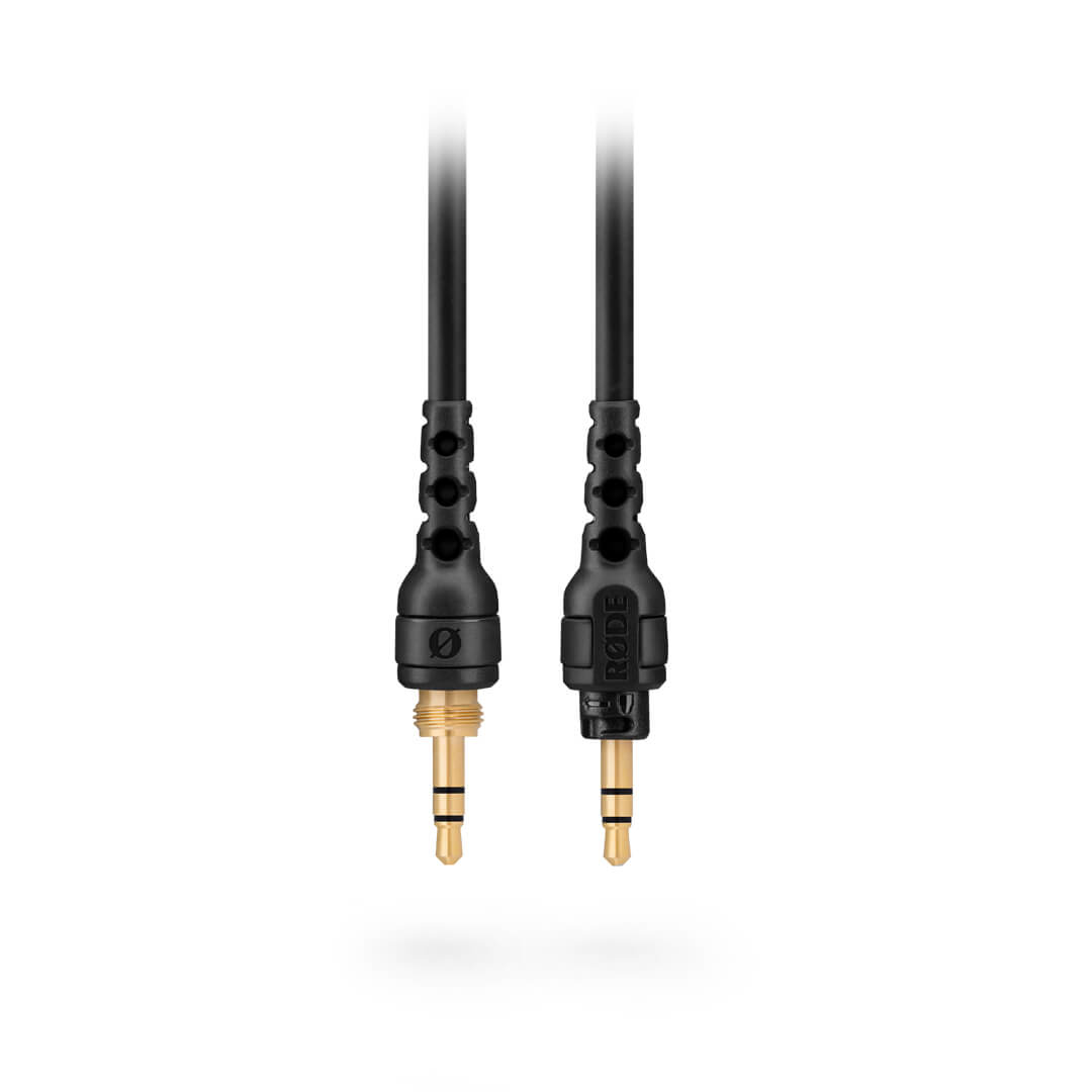 Due cavi audio neri con connettori neri e punte dorate, su sfondo bianco.