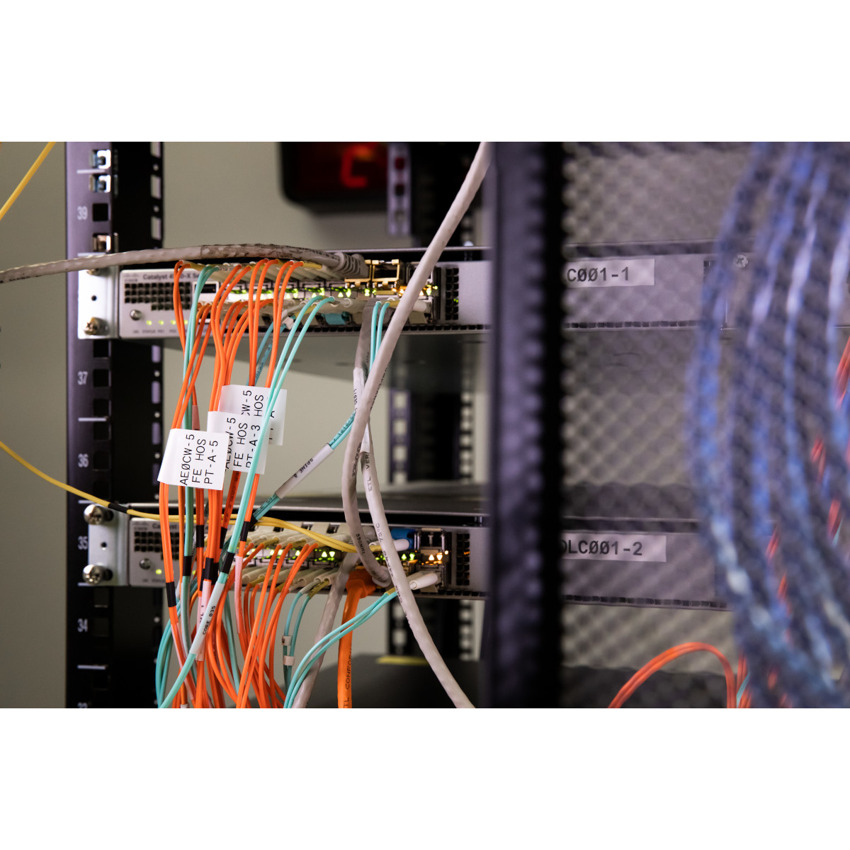 Cavi di rete collegati a un server. Alcuni cavi sono etichettati. Sono visibili più switch.