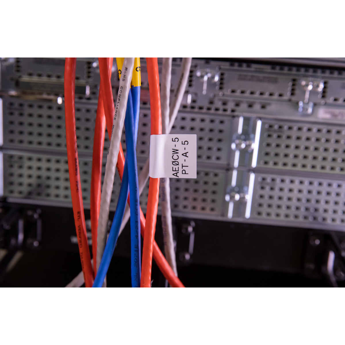 Primo piano di cavi di rete colorati con etichette, collegati a un rack server. Sfondo sfocato.